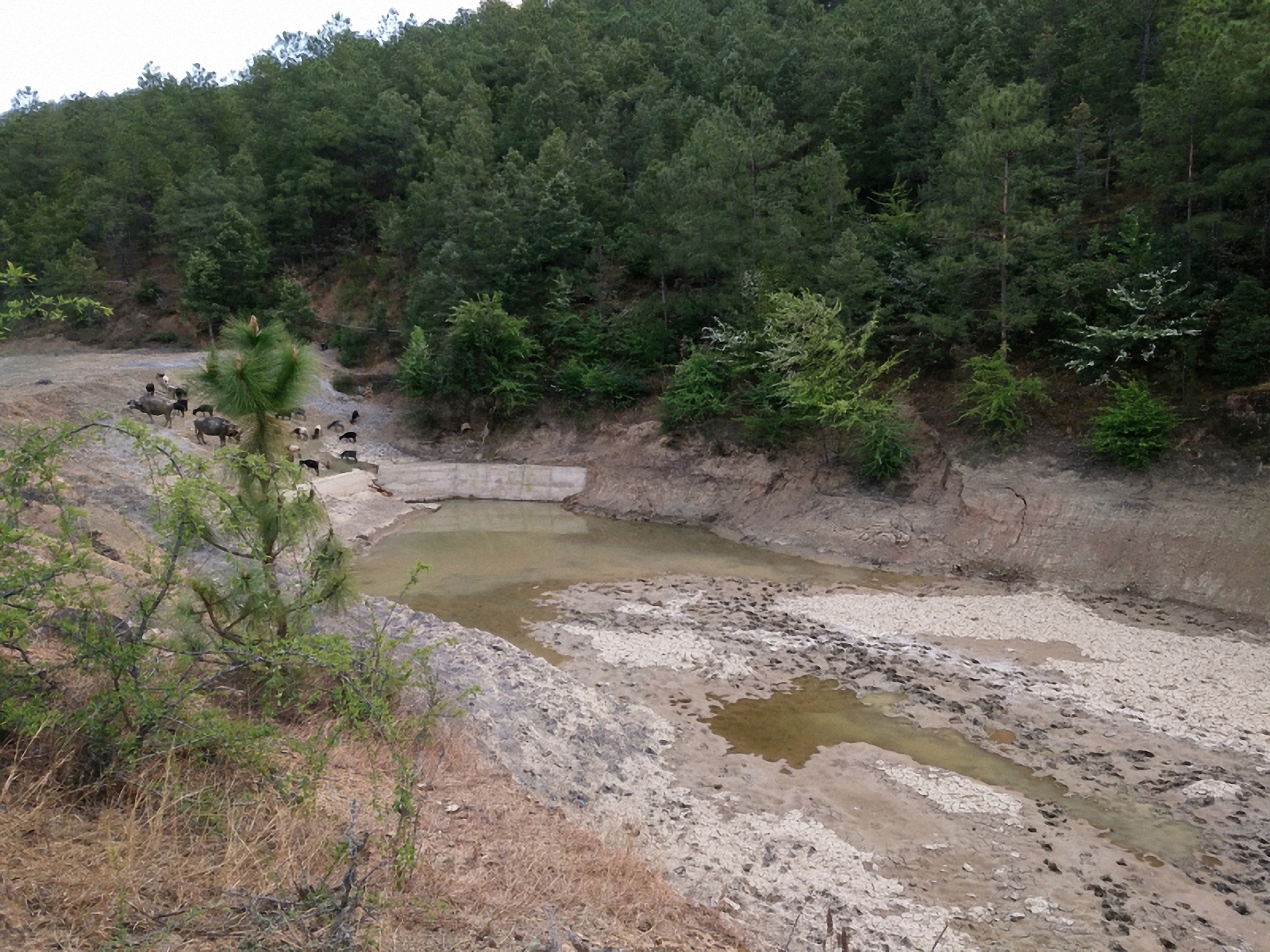 大石木家小水库