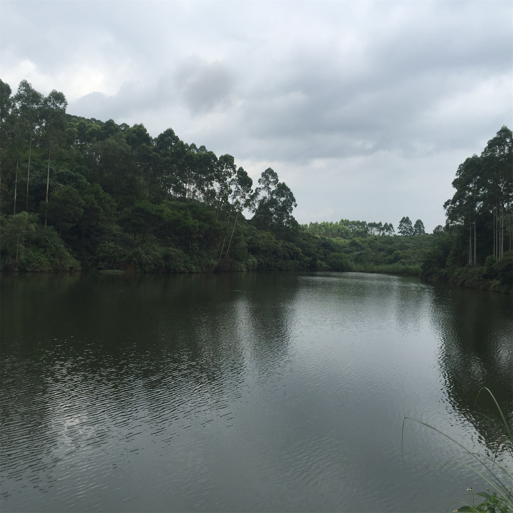 雷砵水库