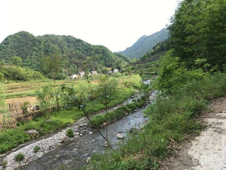 红江