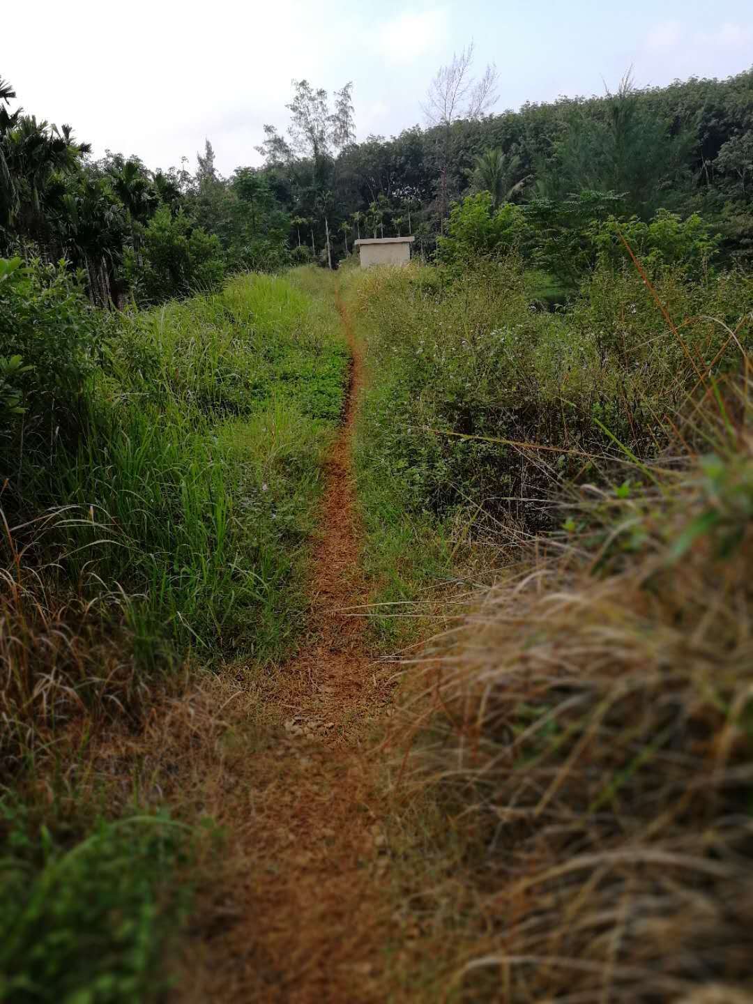 甘村水库