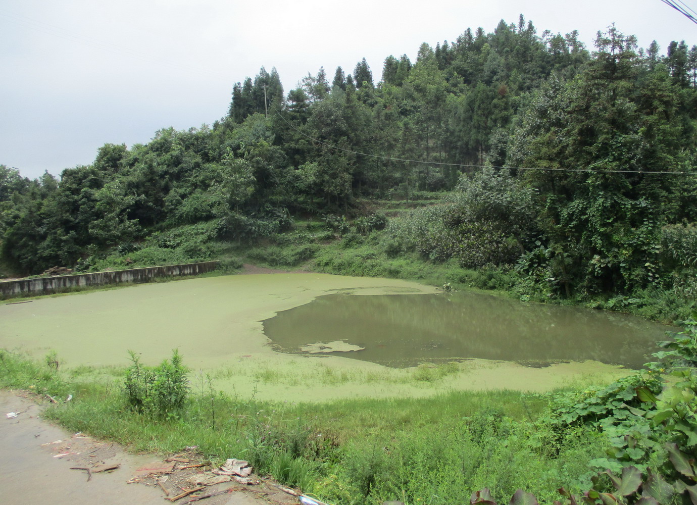 老屋村小水库