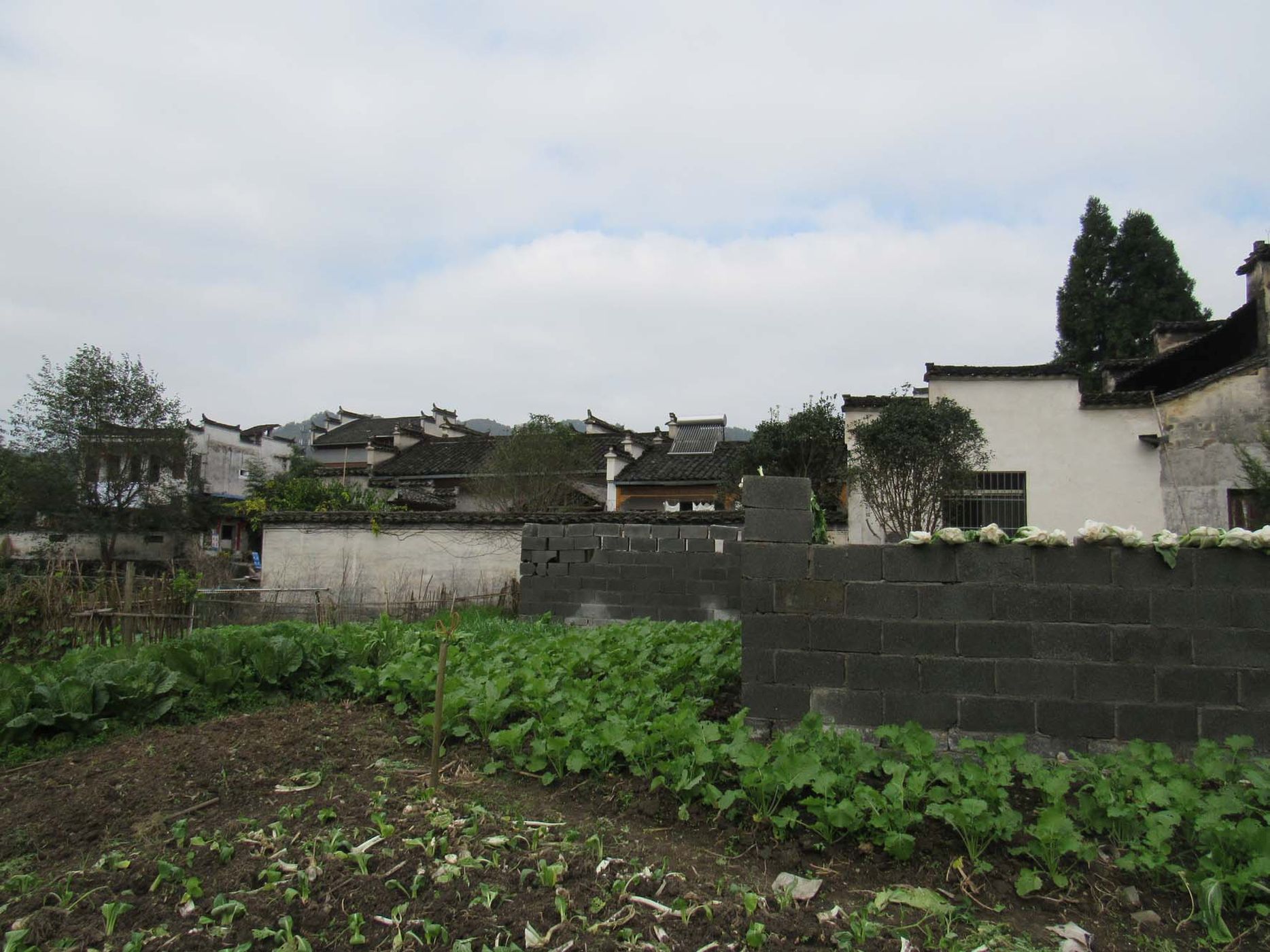 西递古村落景区