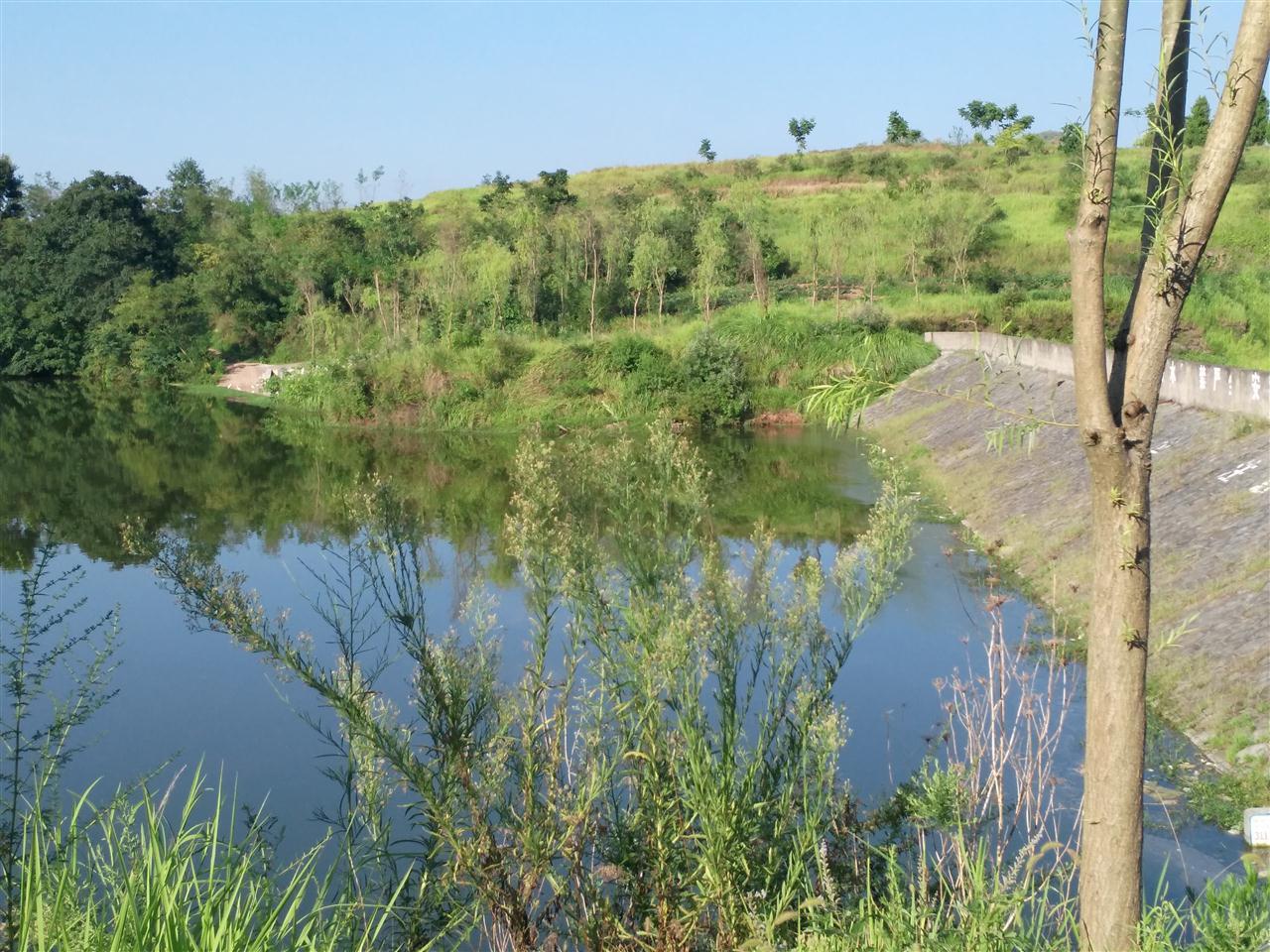 野溪沟水库