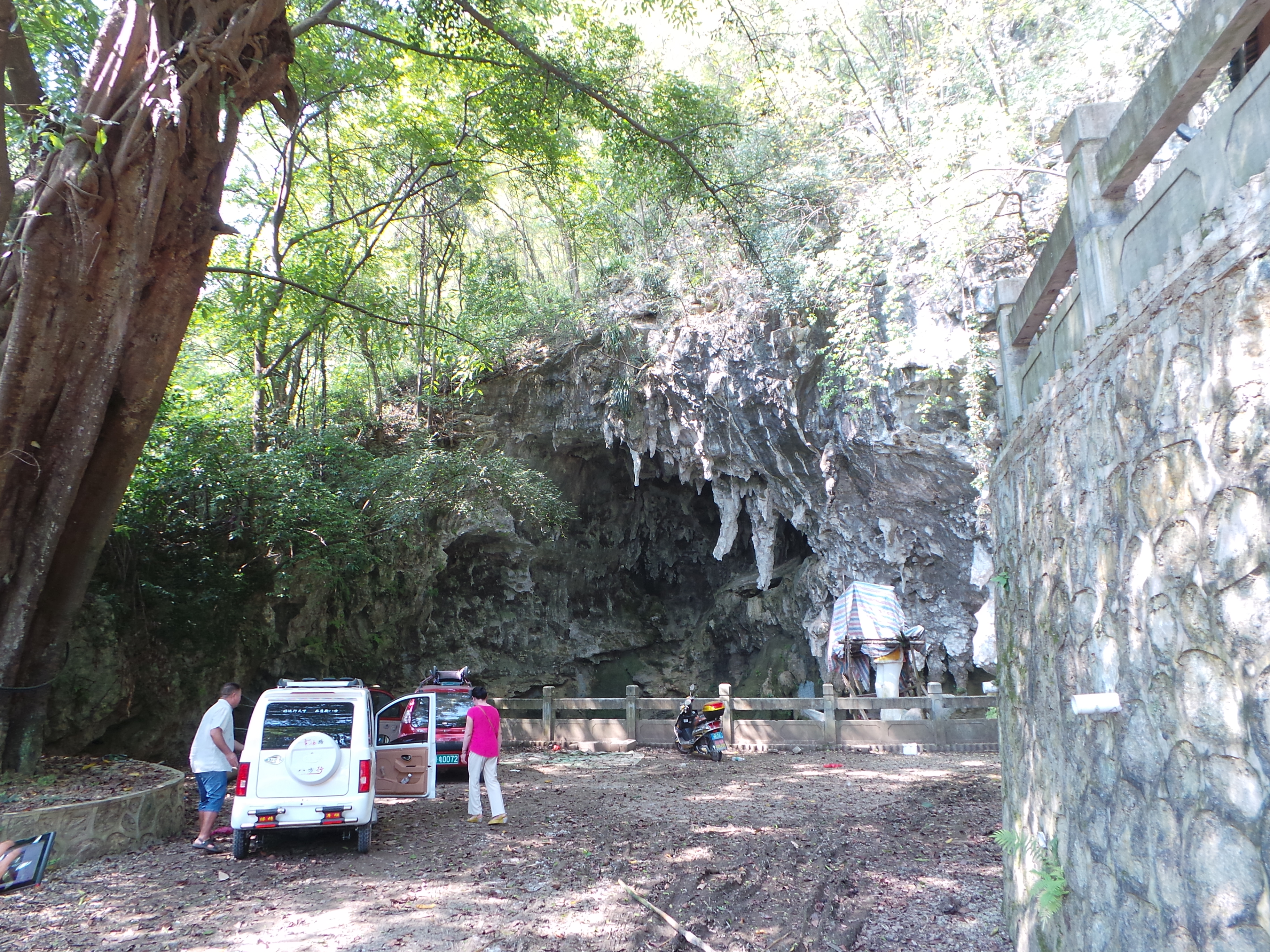 仙湖旅游景区