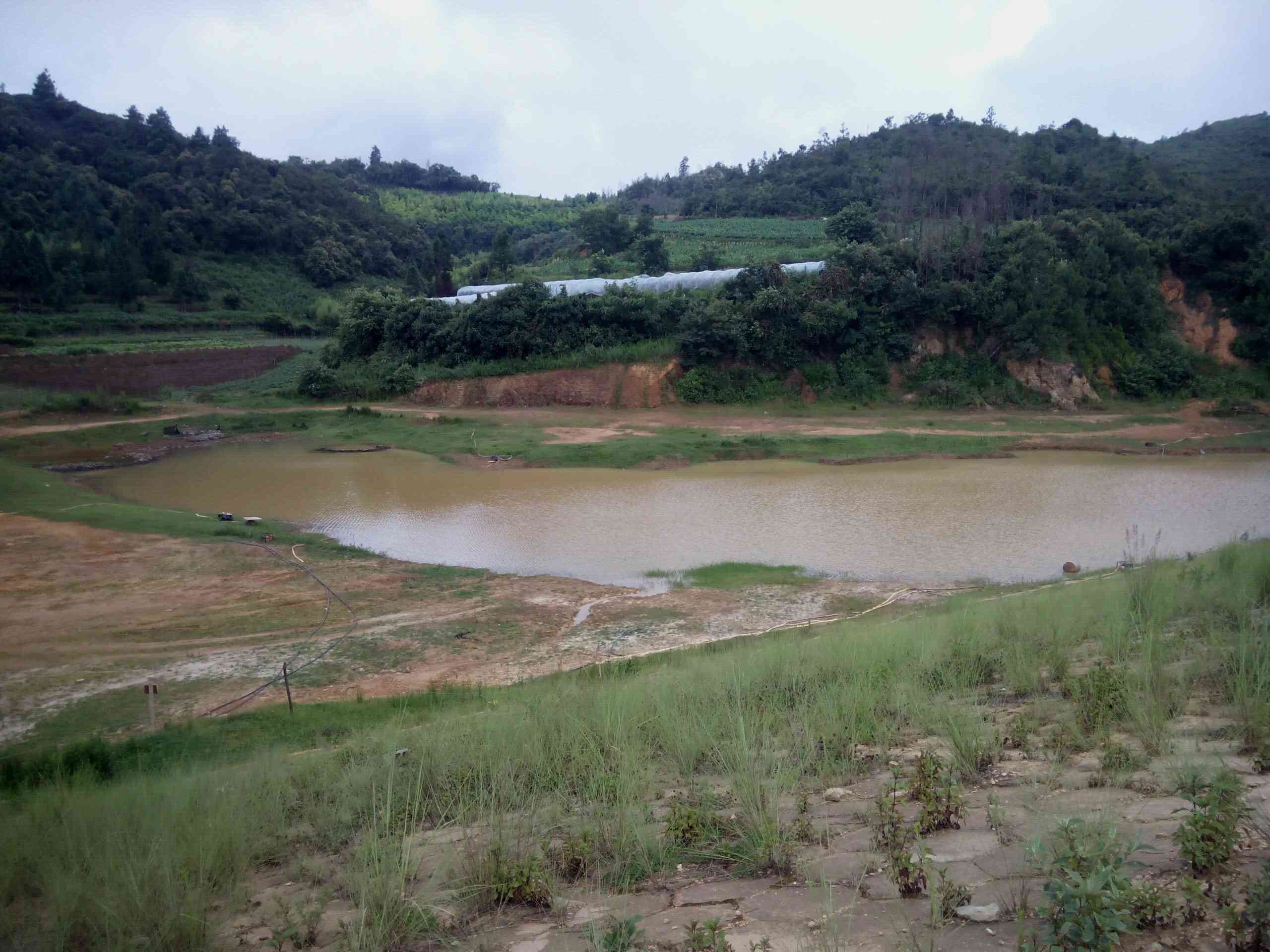 总果水库