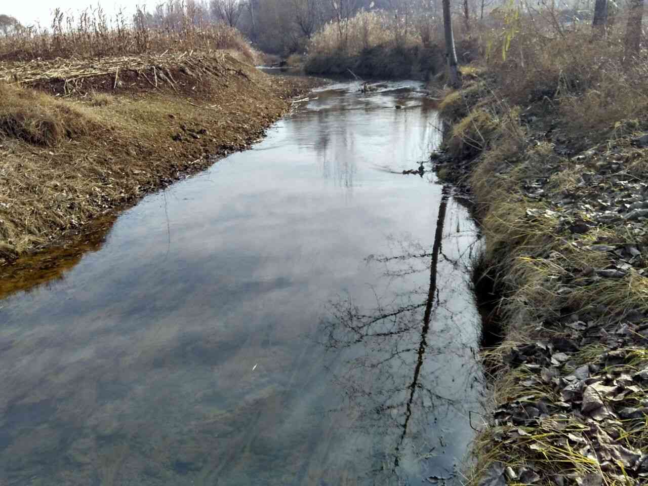 鸡鸣水河