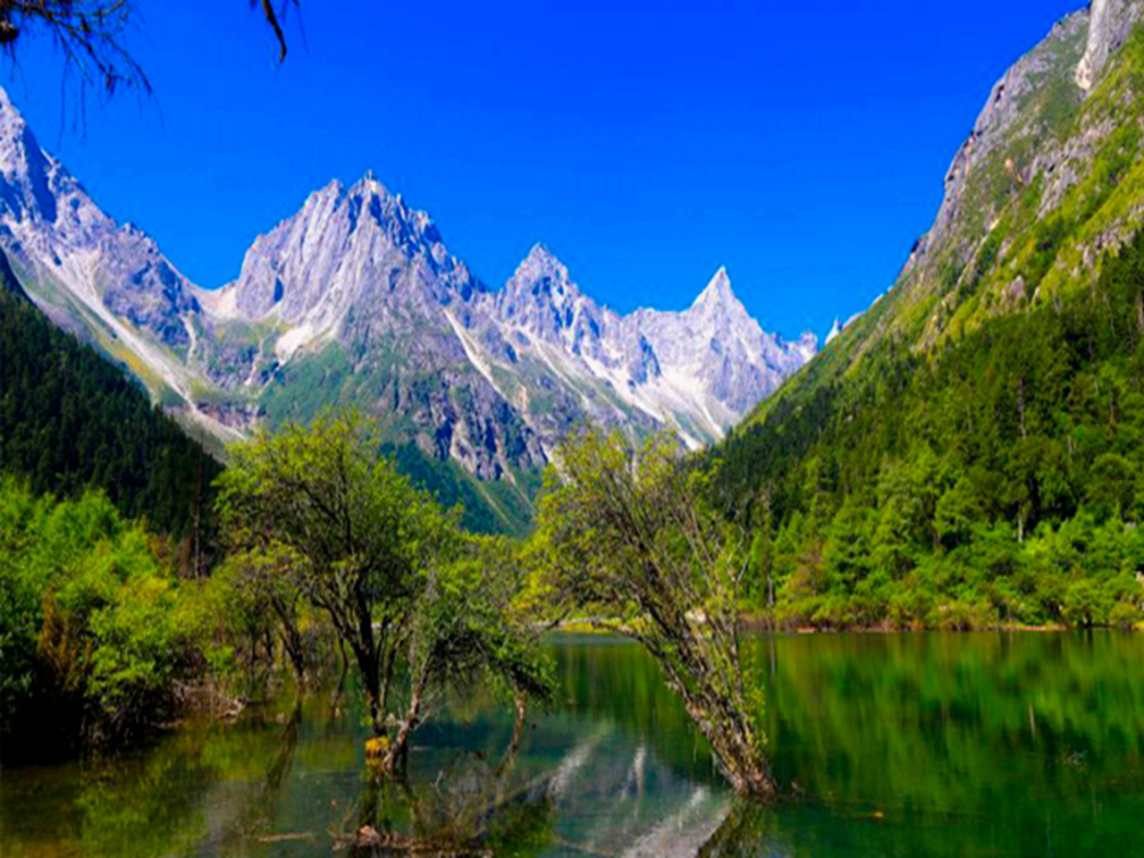 毕棚沟风景区