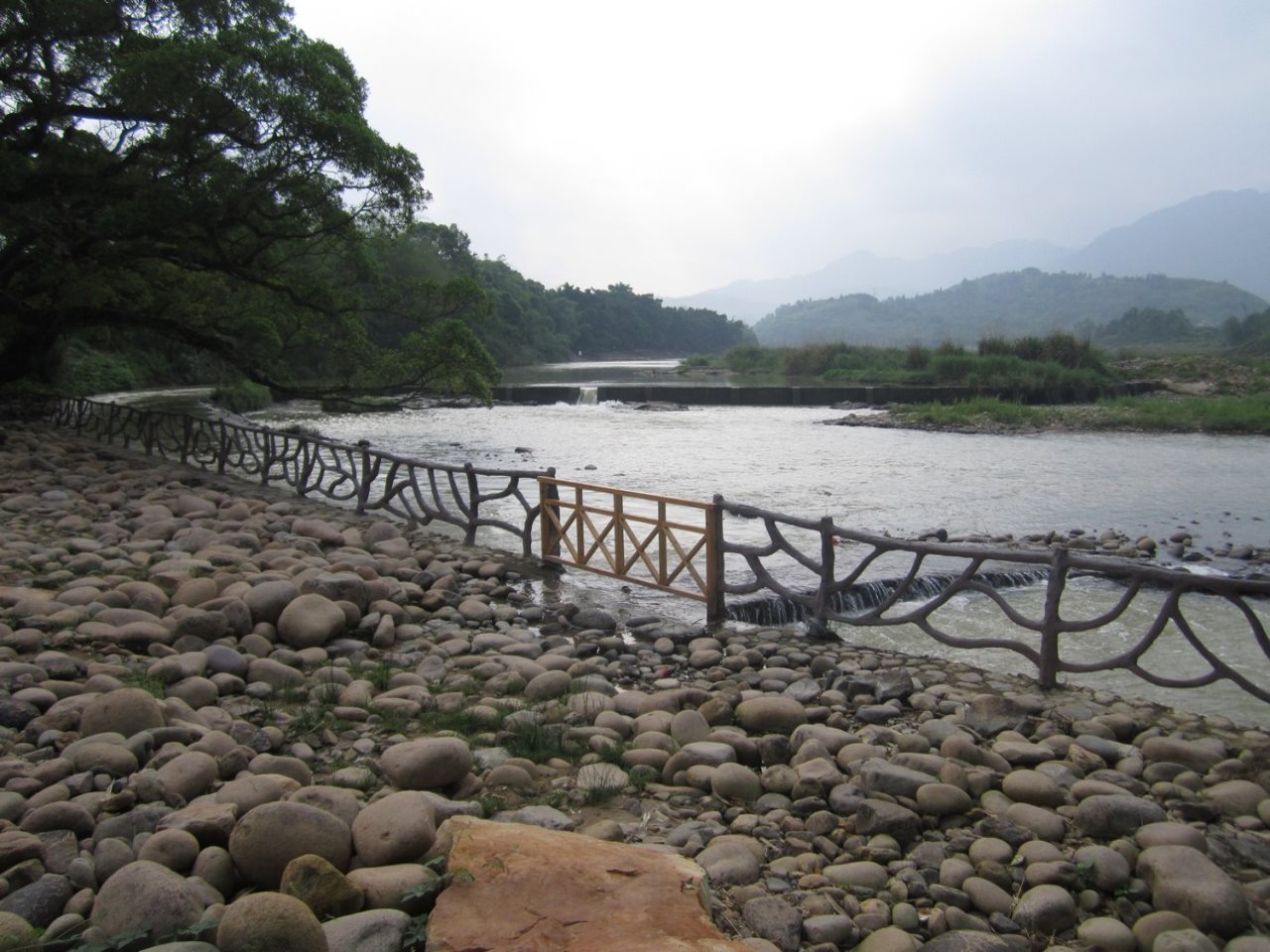 坂埕滨江古榕道风景区