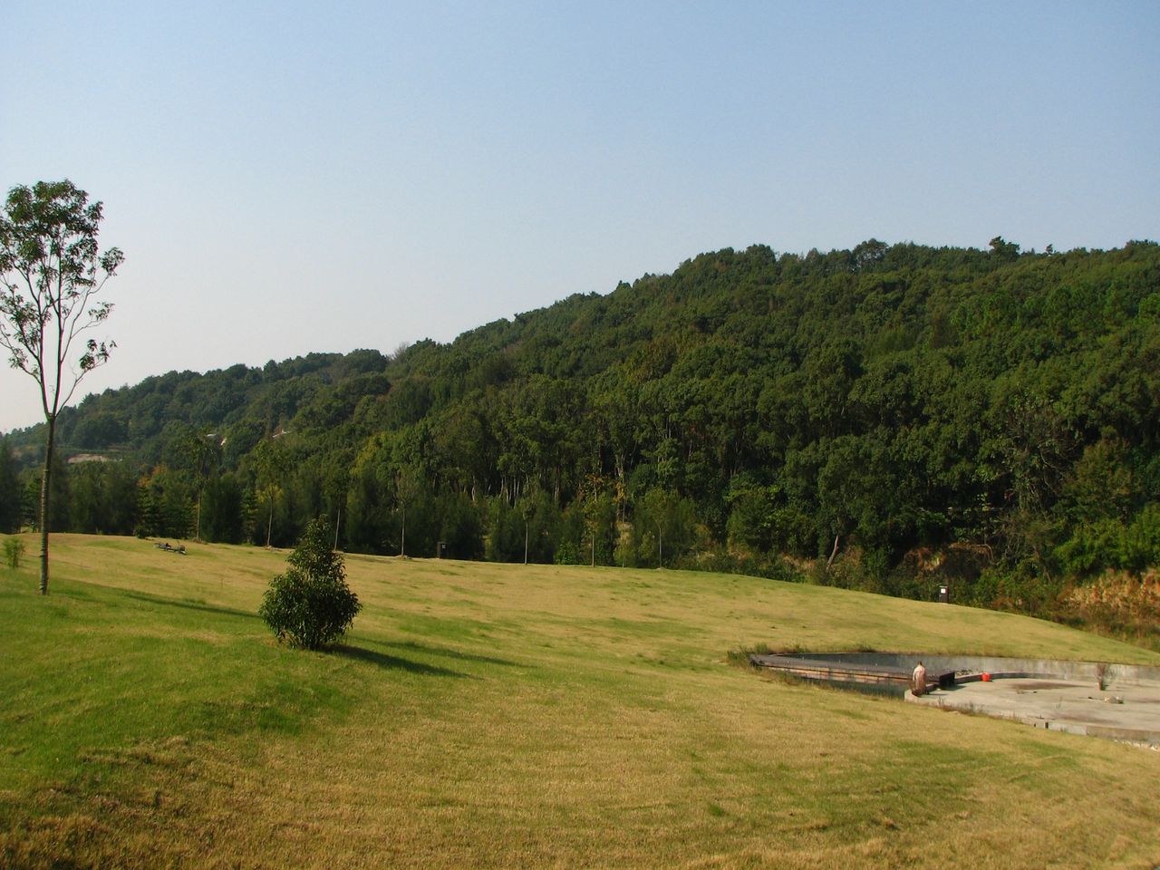 普陀山森林公园