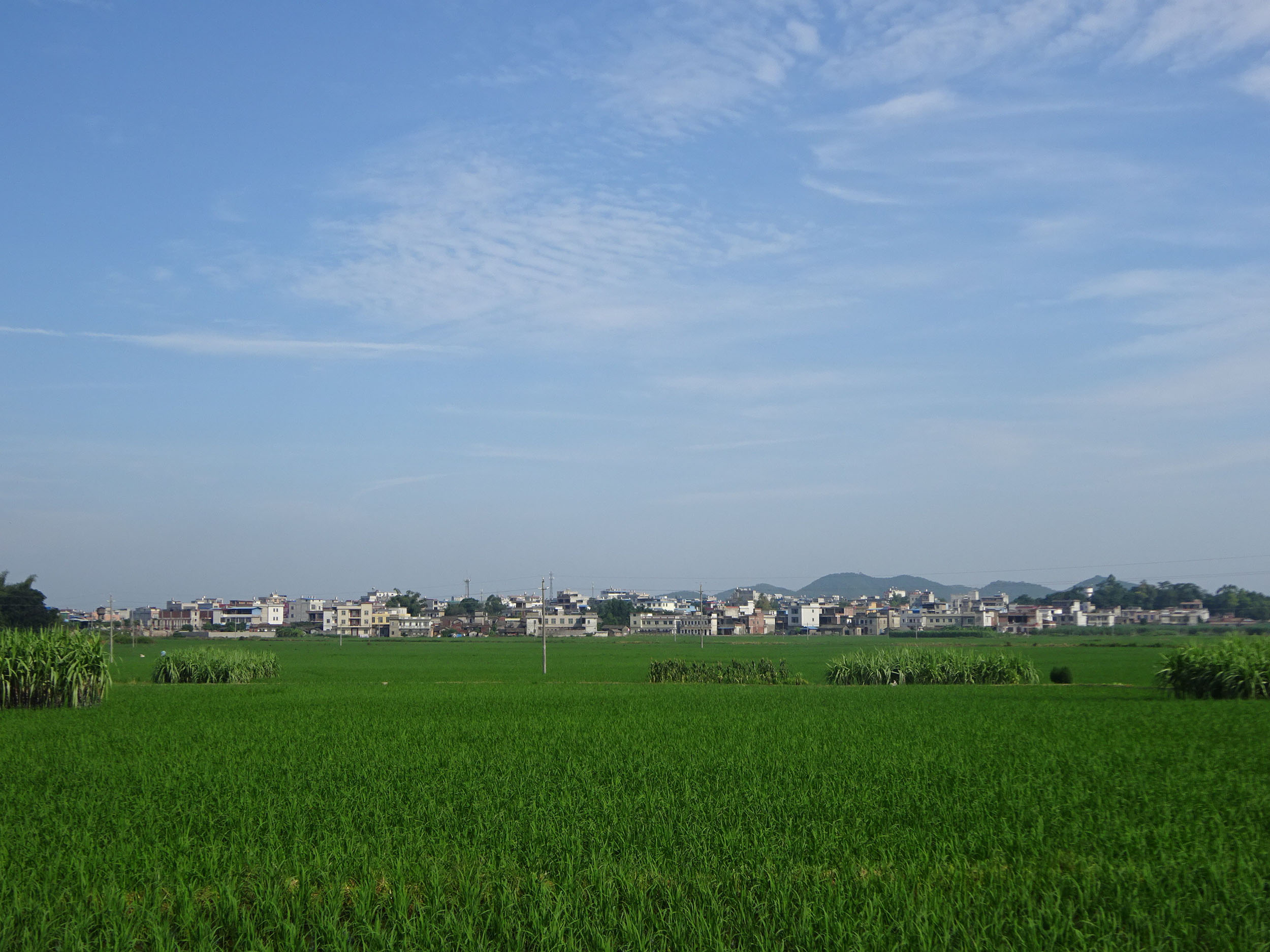 石塘镇