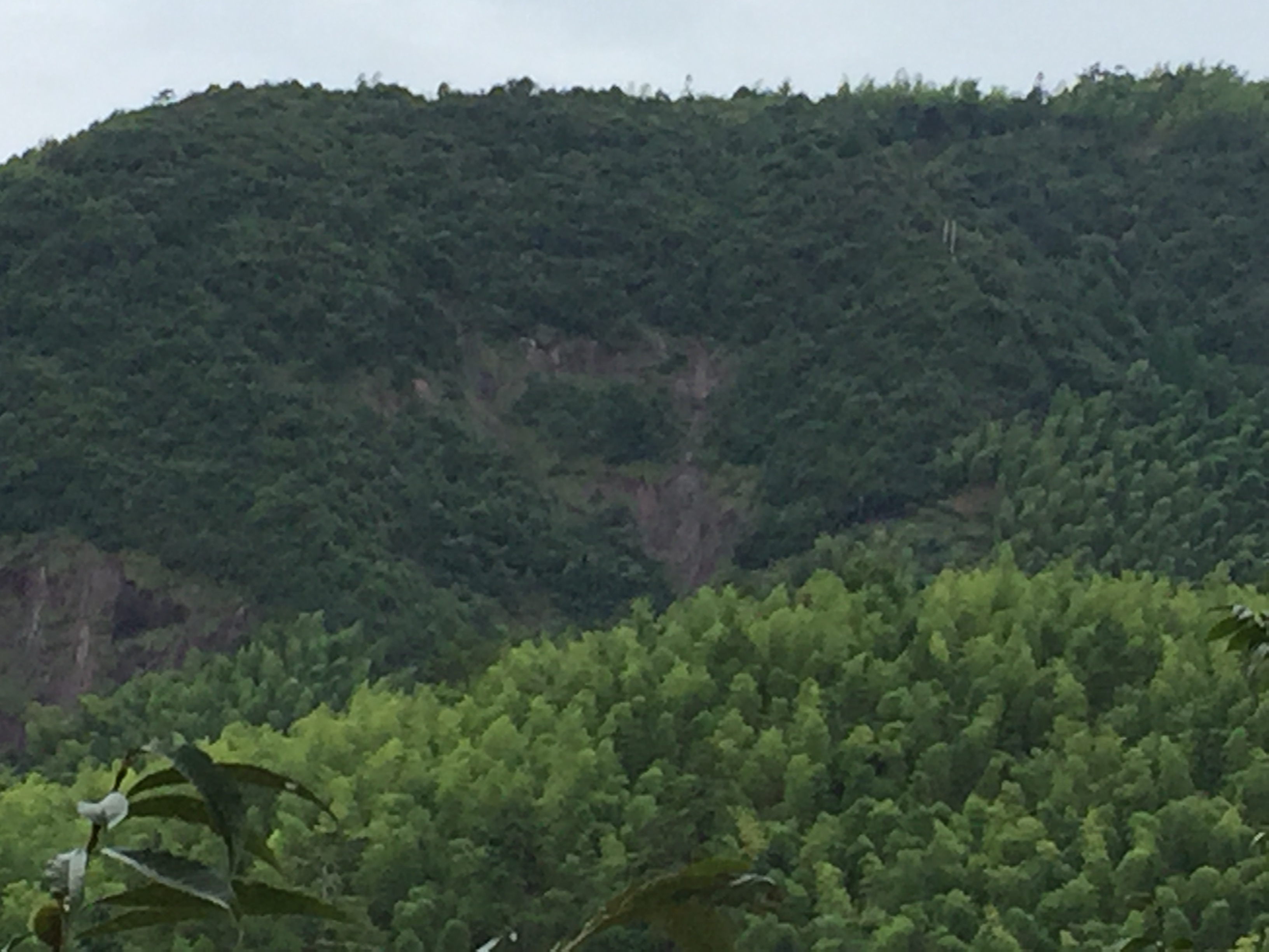 锦屏甜槠自然保护小区