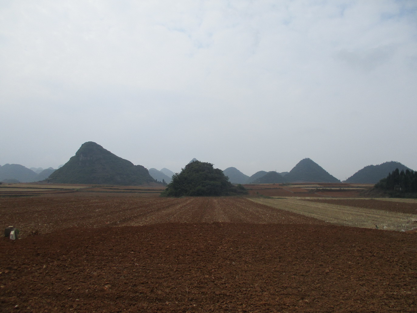 金鸡峰丛