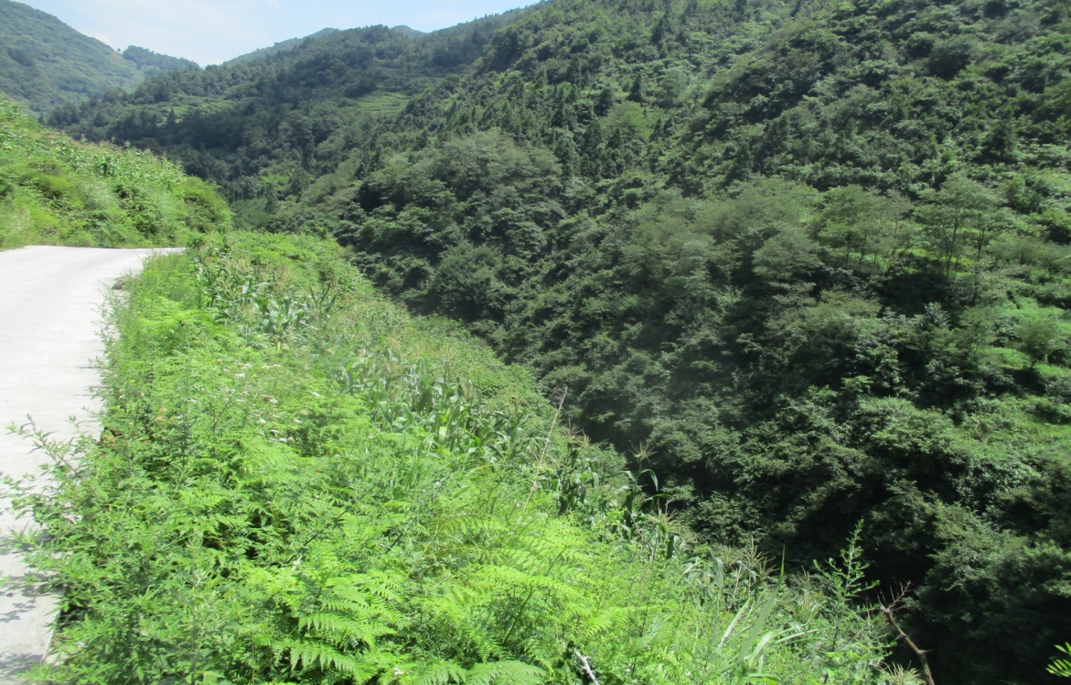 集合组冰川峡谷