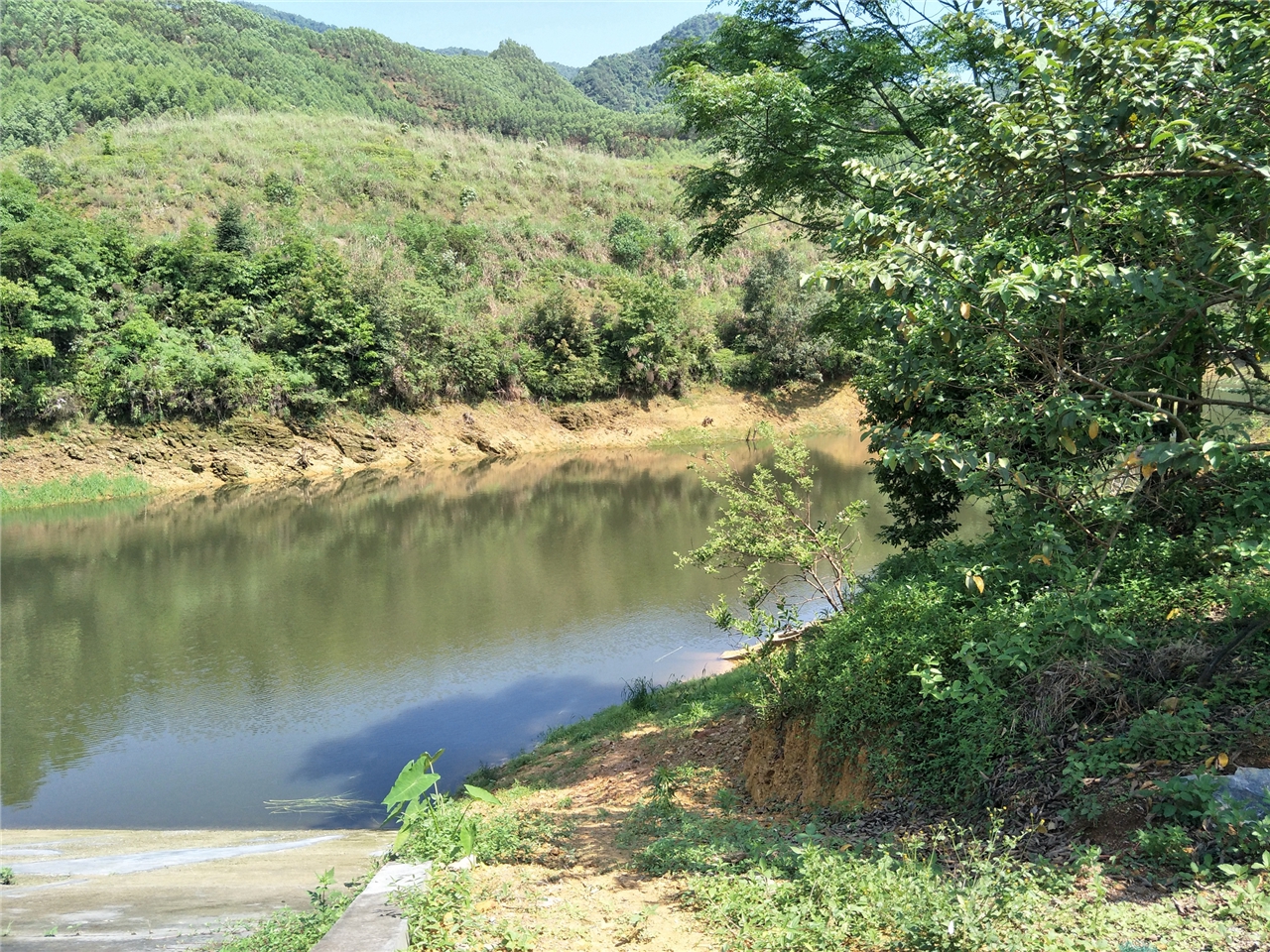 阳河水库