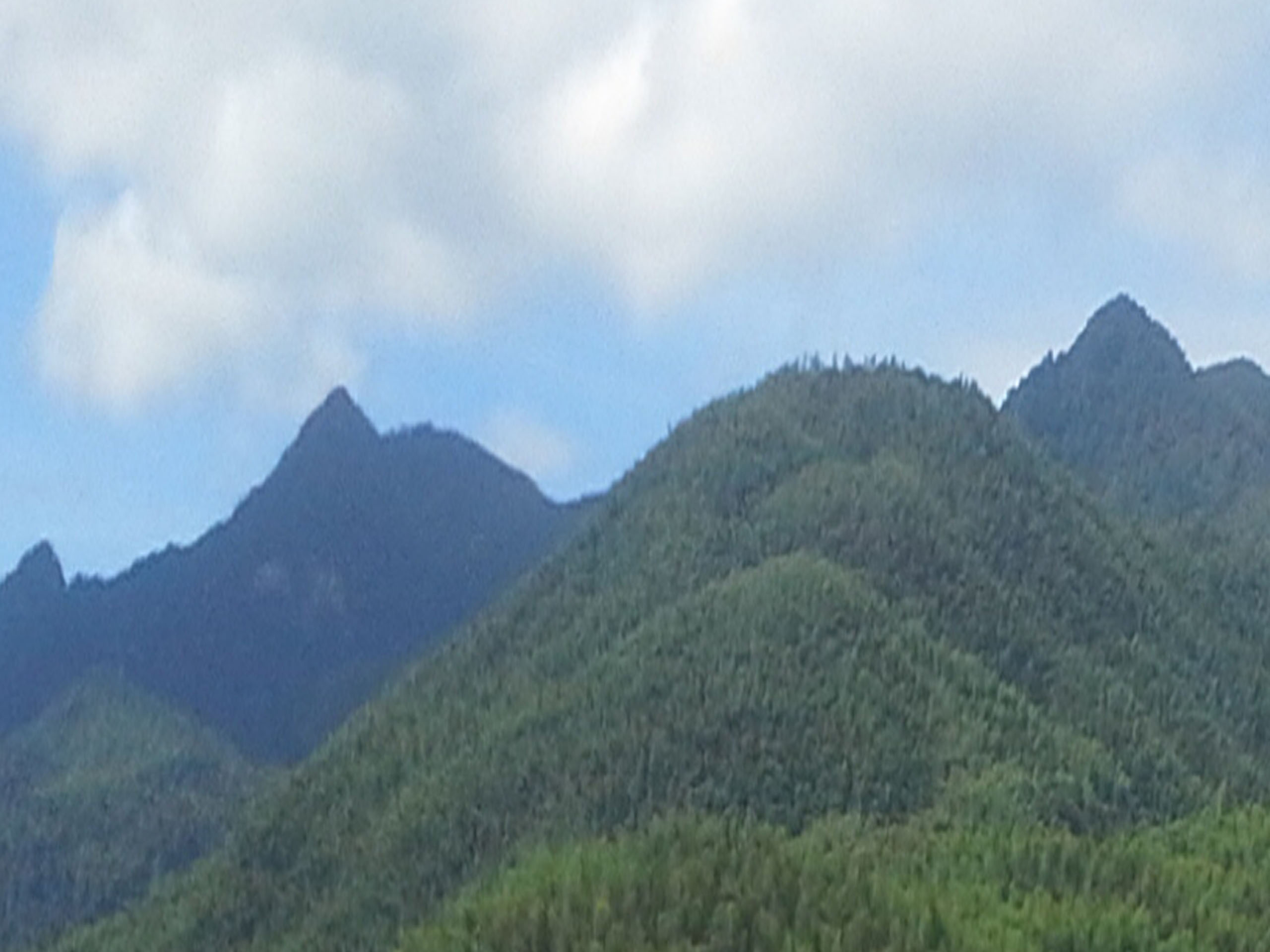 杨家岭风景区