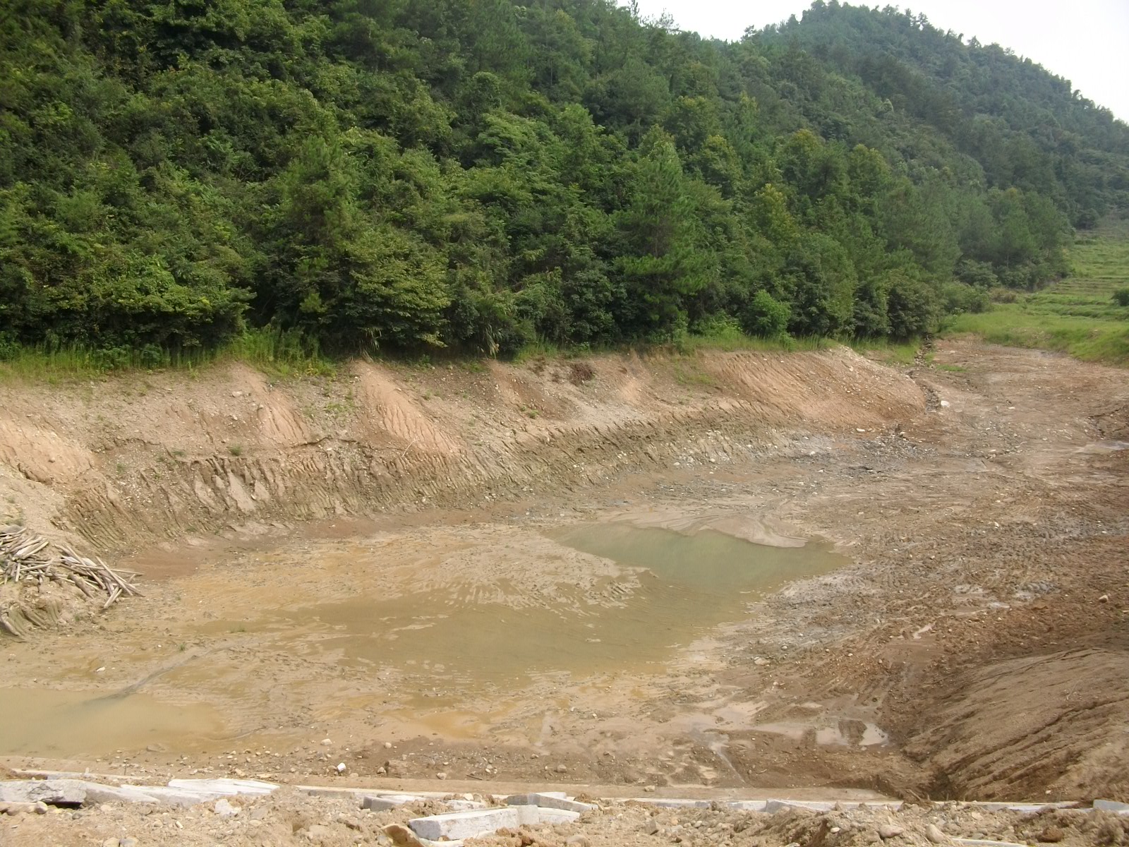 泥家坞山塘