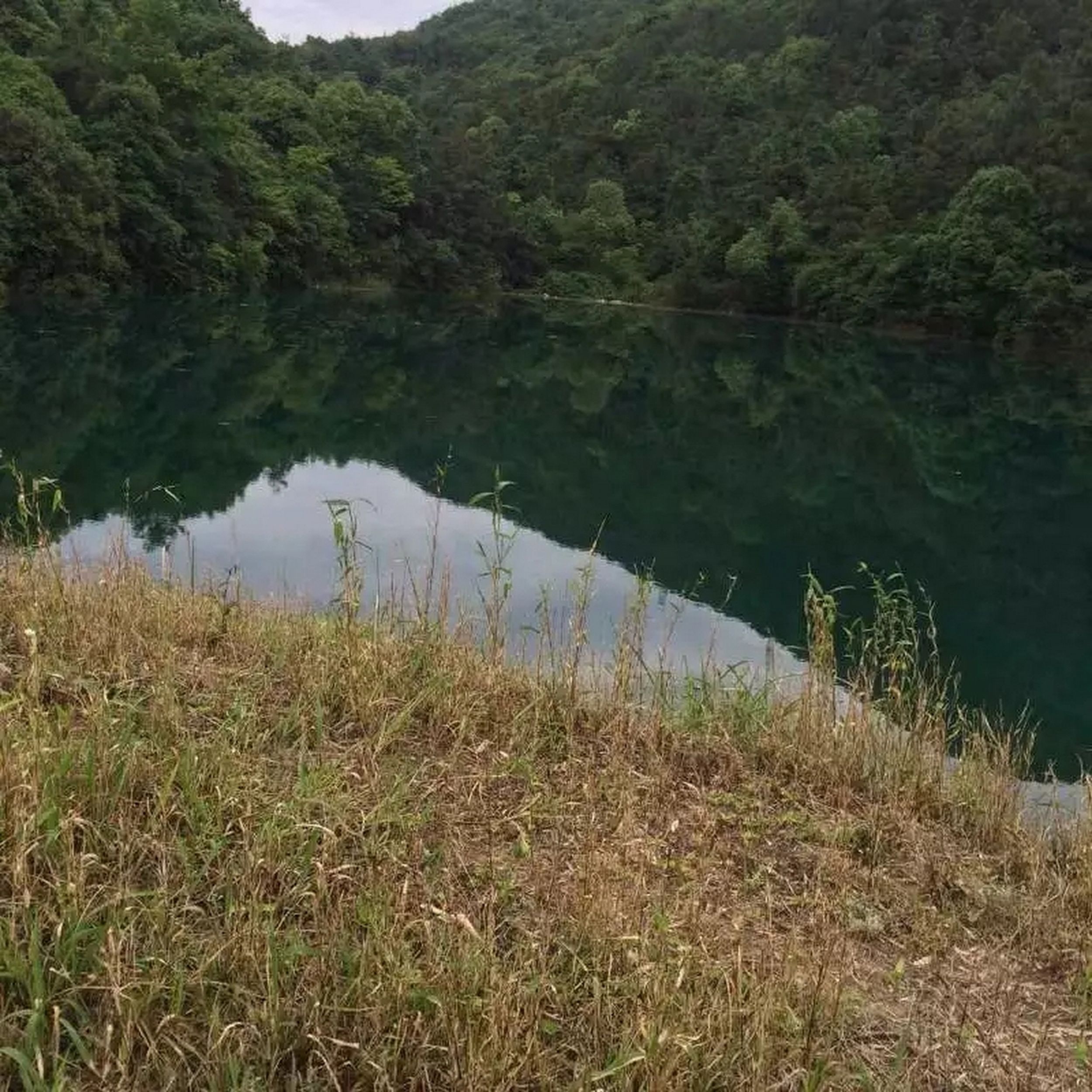 泥鳅龙水库