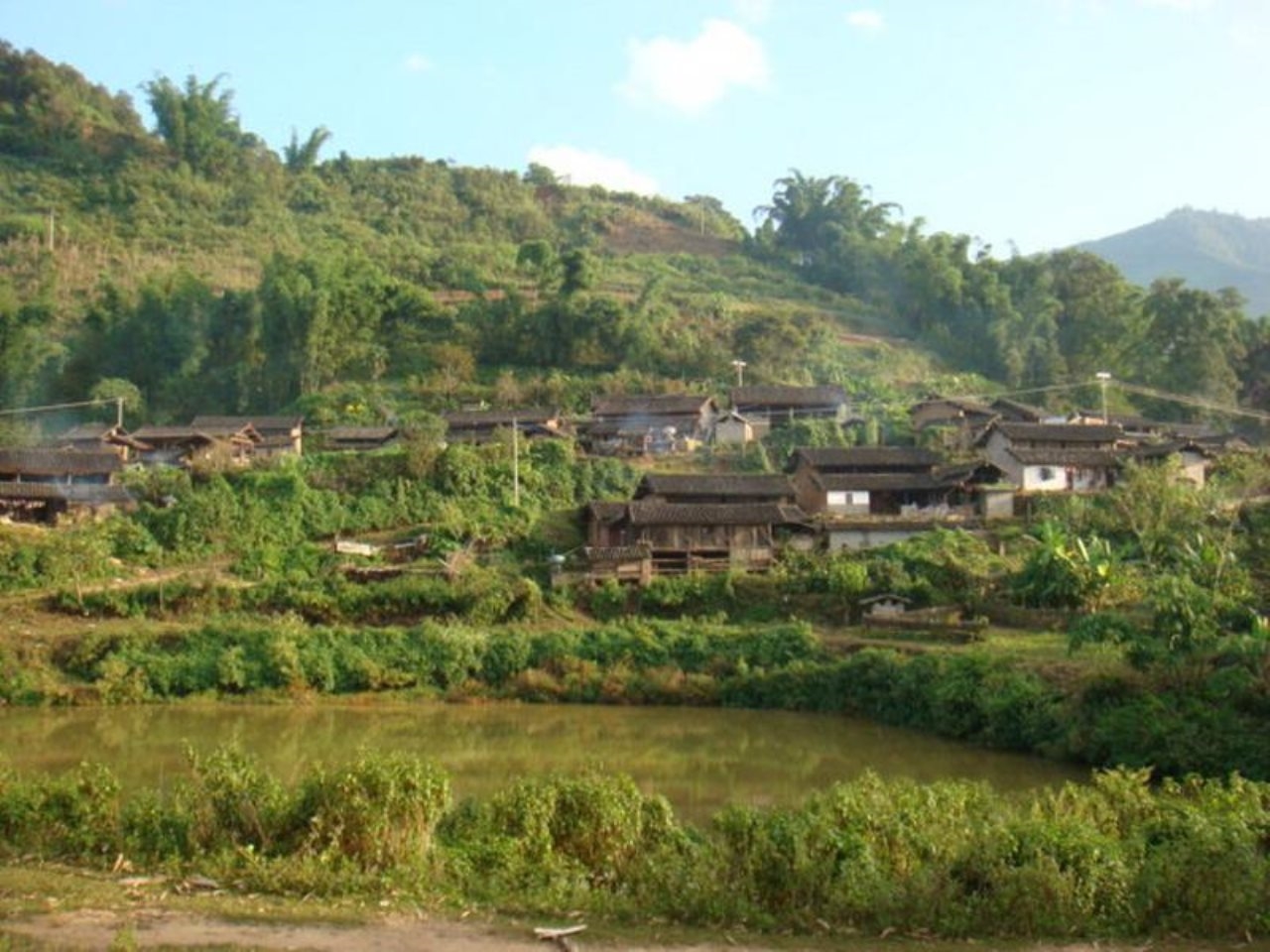 青凉山森林公园