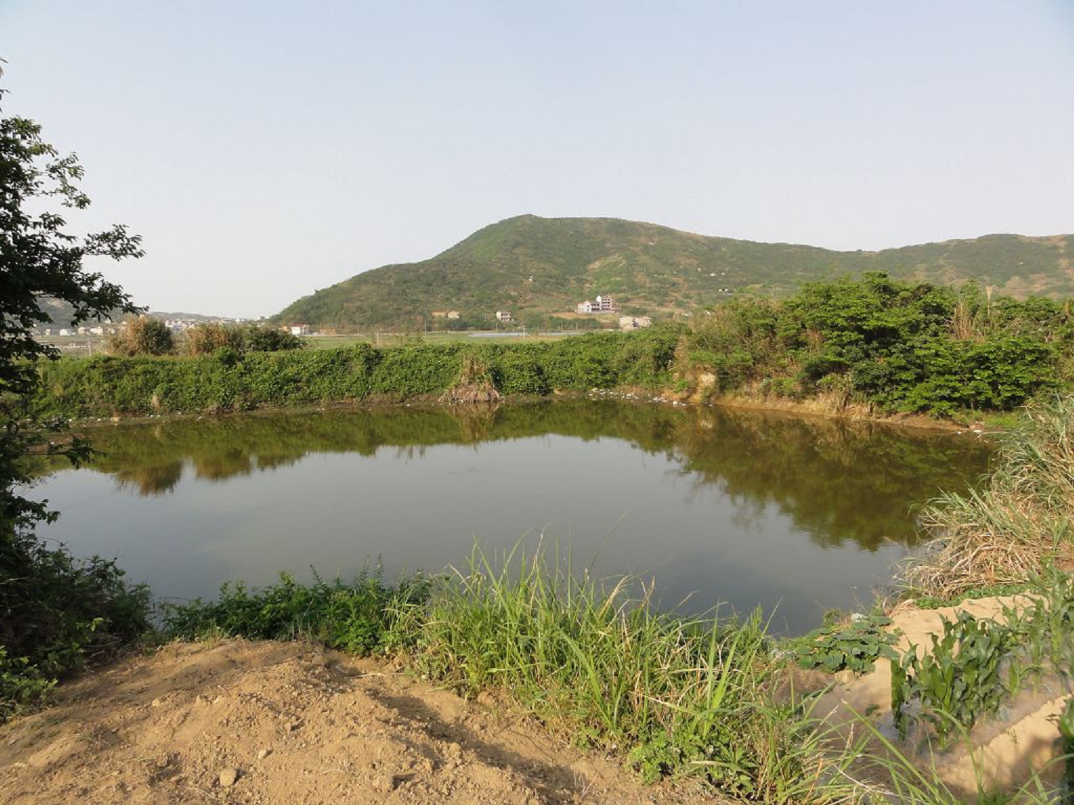 鸡冠礁胡家坑山塘