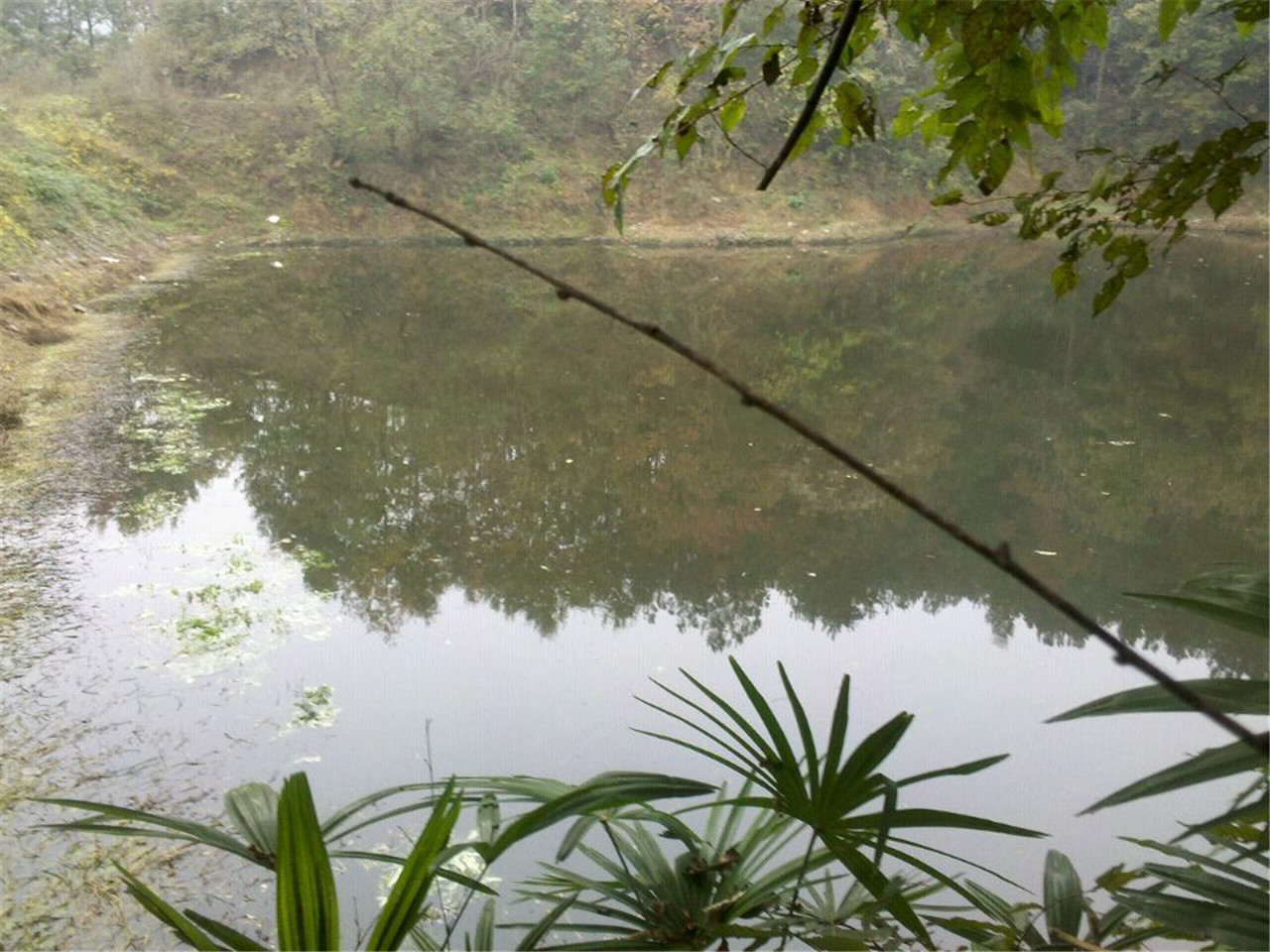 长岭水库