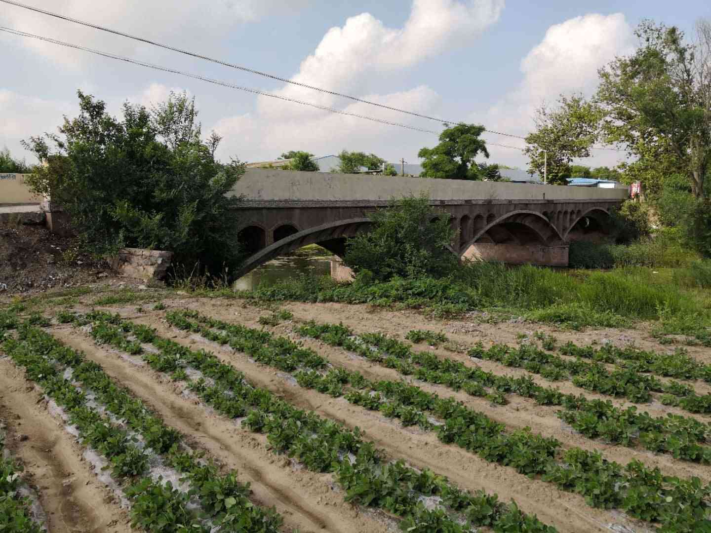 龙化河