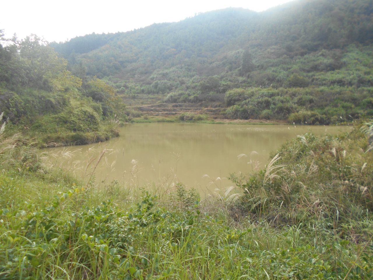 郑坑里水库