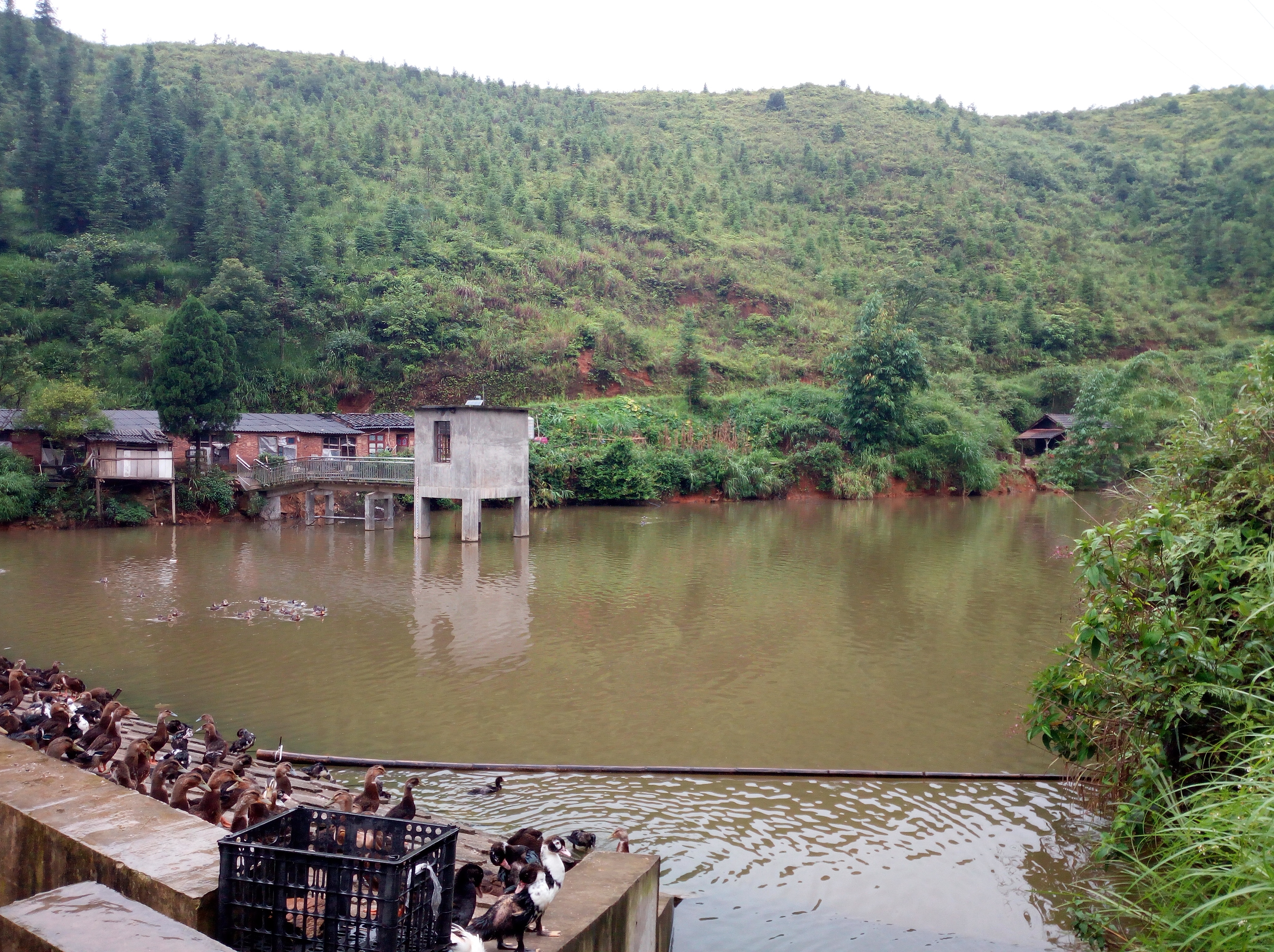 糯谷冲水库