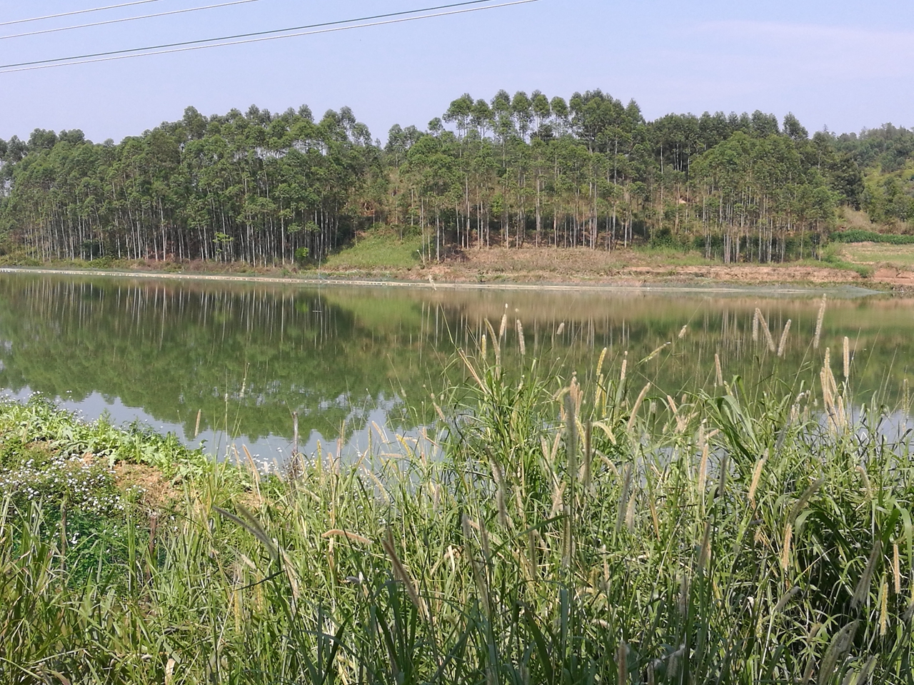 吉昌村塘旱水库