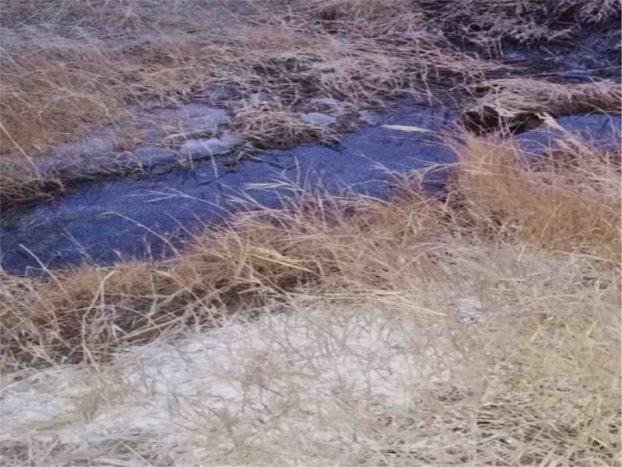 沃门嘎顺乌苏