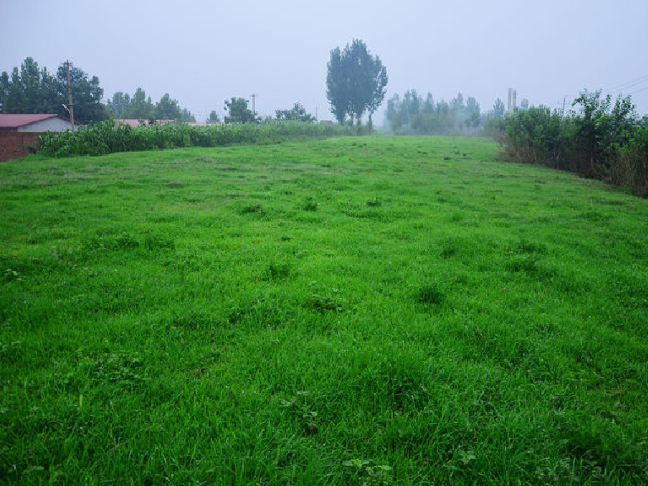 东平陵故城