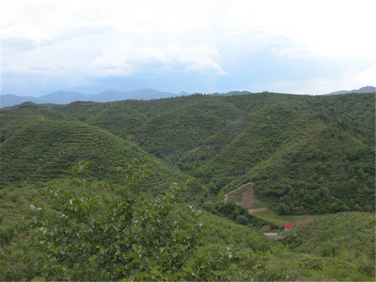 五指山保护区