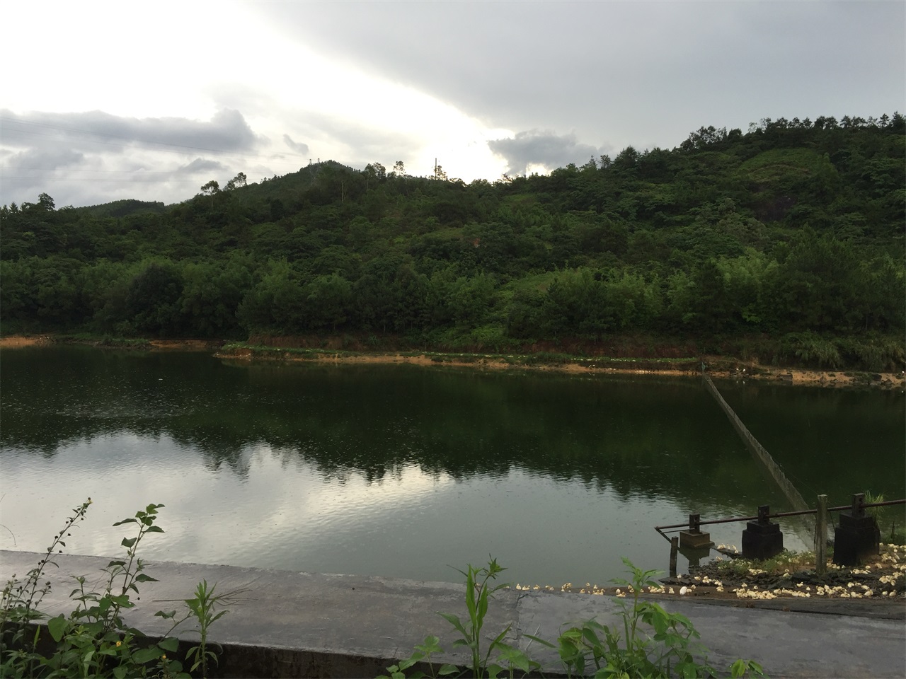 青年水库