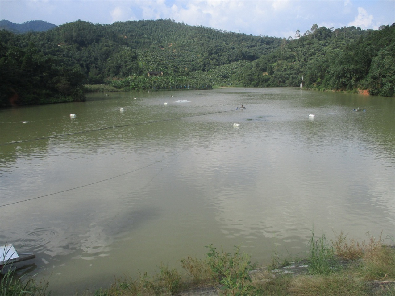 大湾底水库