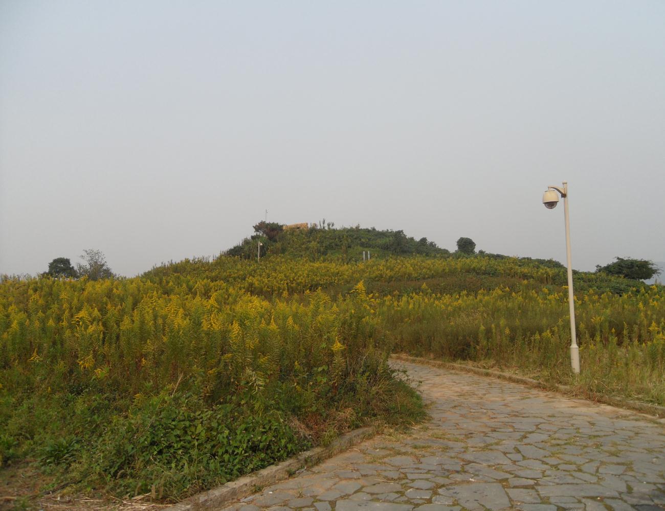 田螺山景区