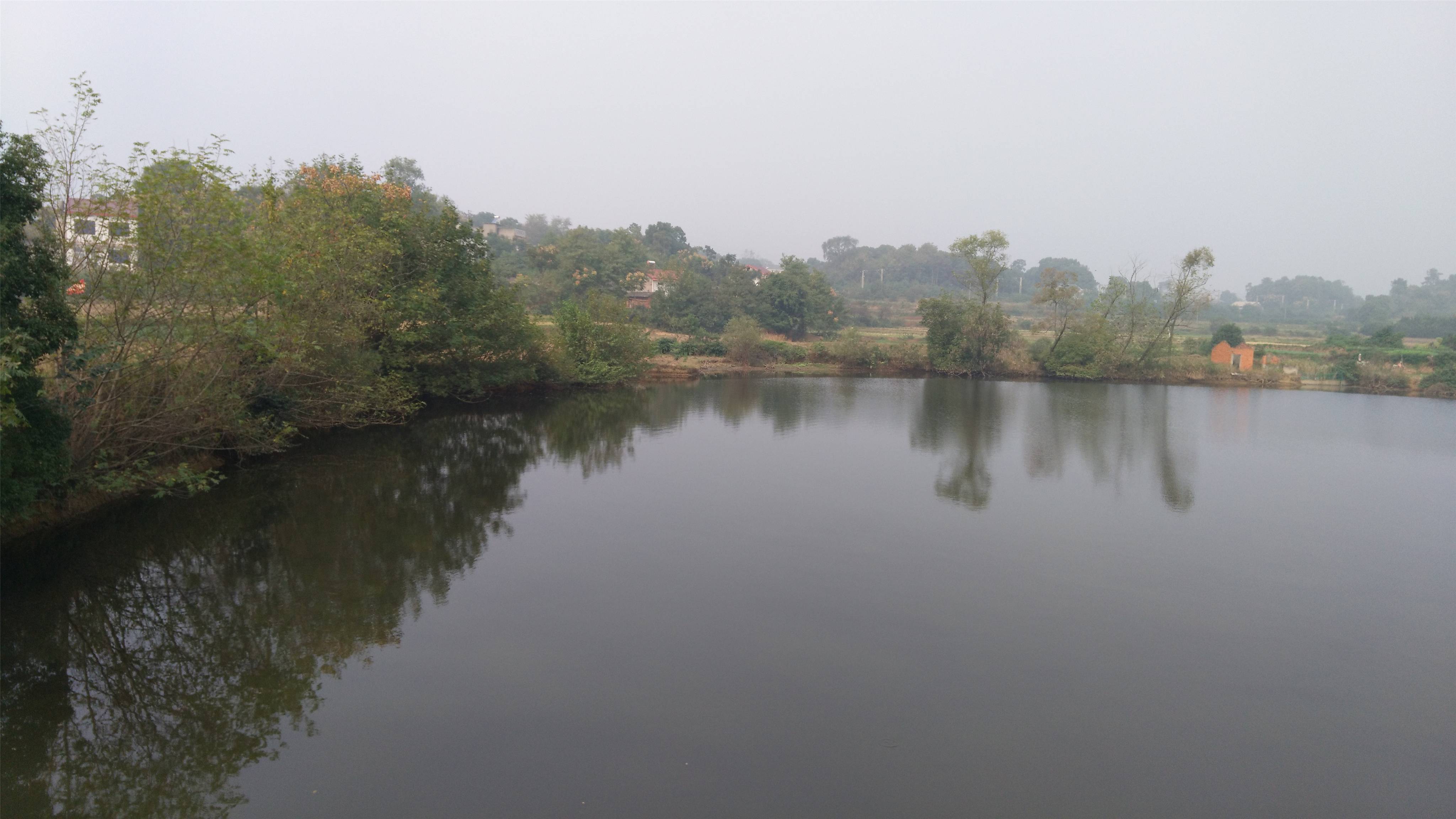 向家坝水库