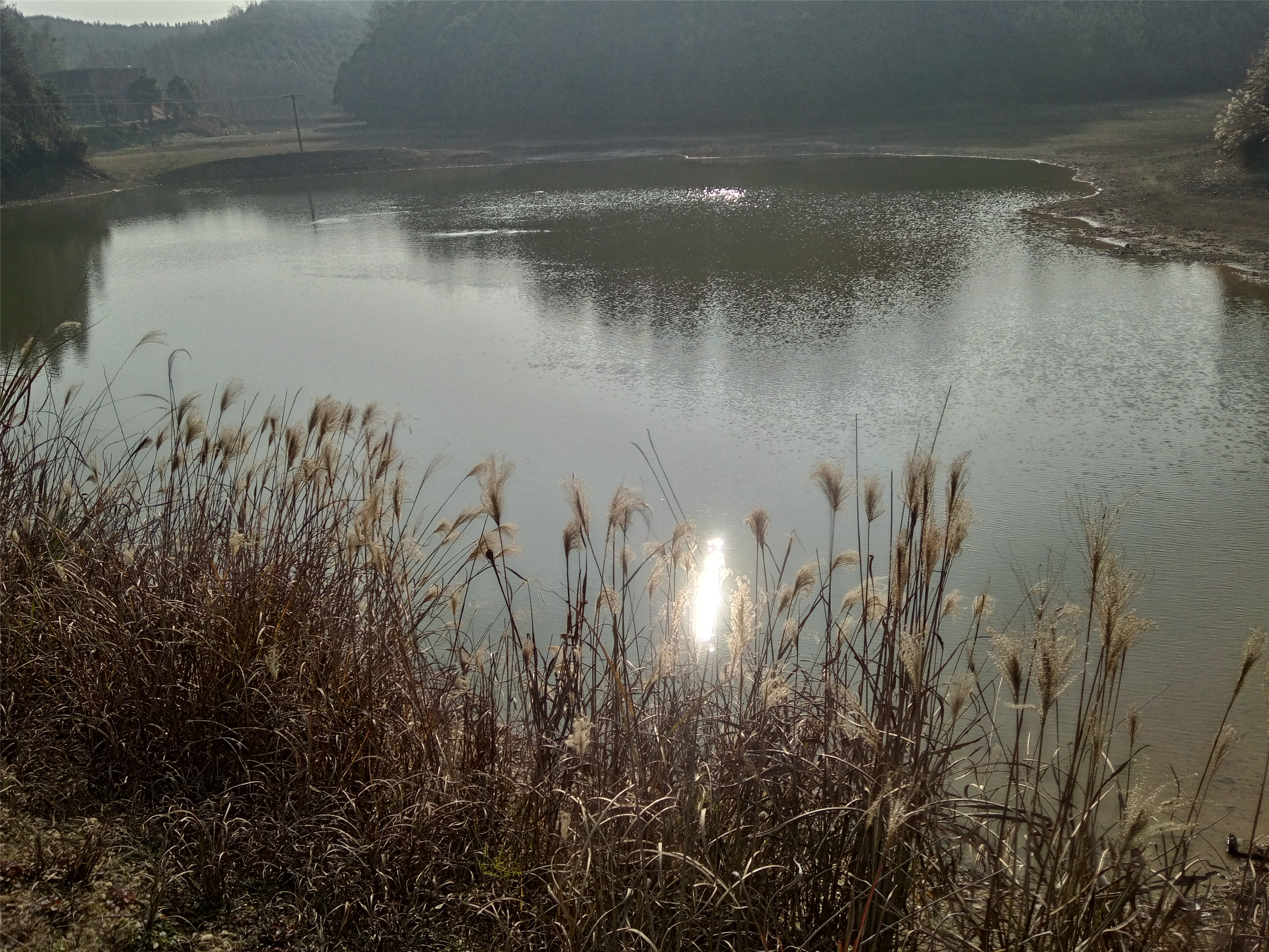 大垄水库