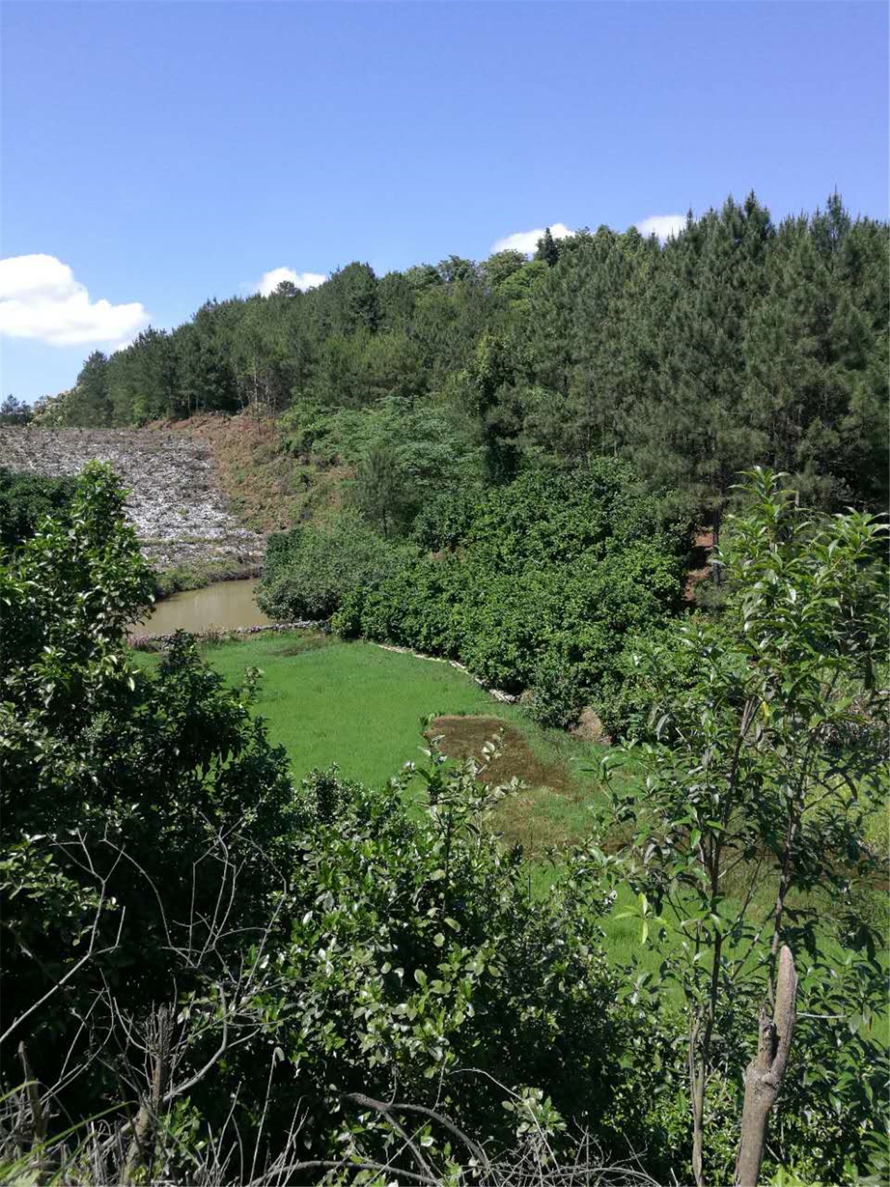 田龙水库