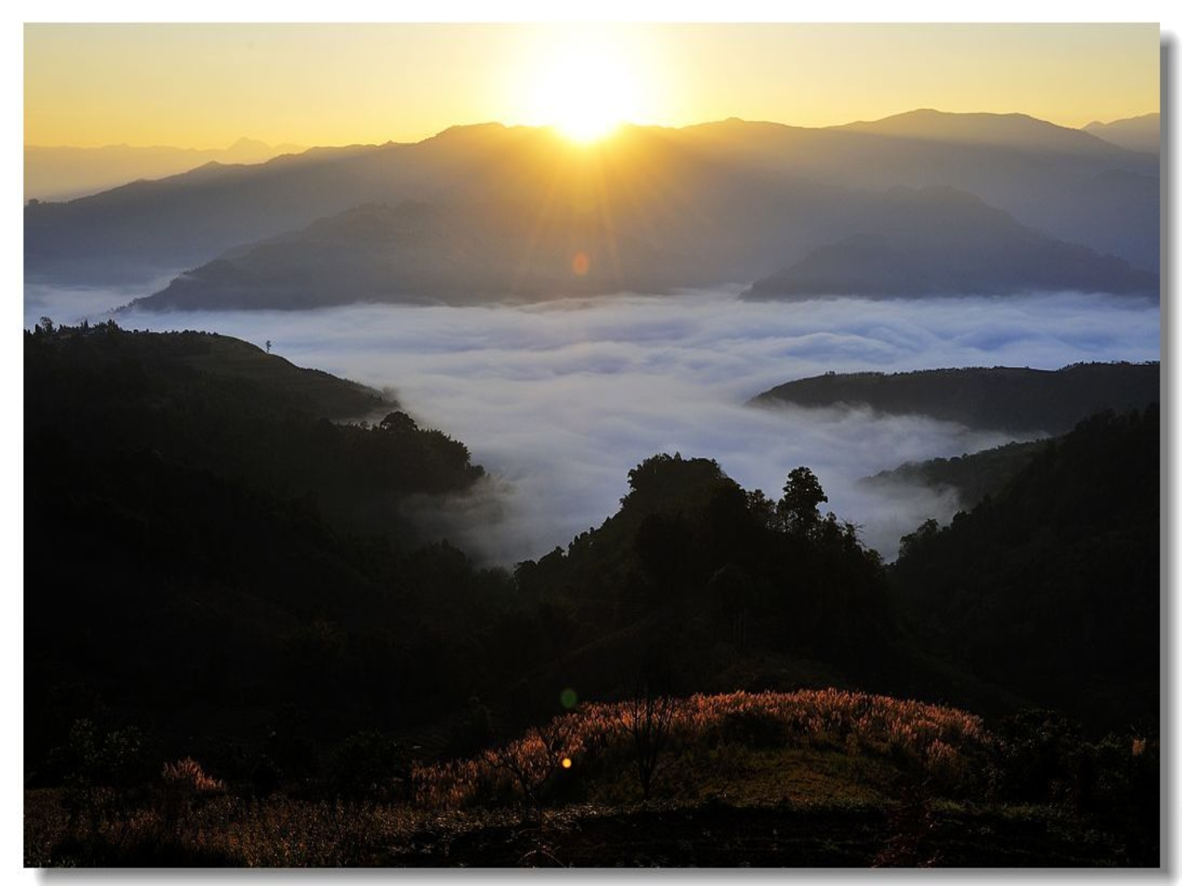 佛殿山县级自然保护区