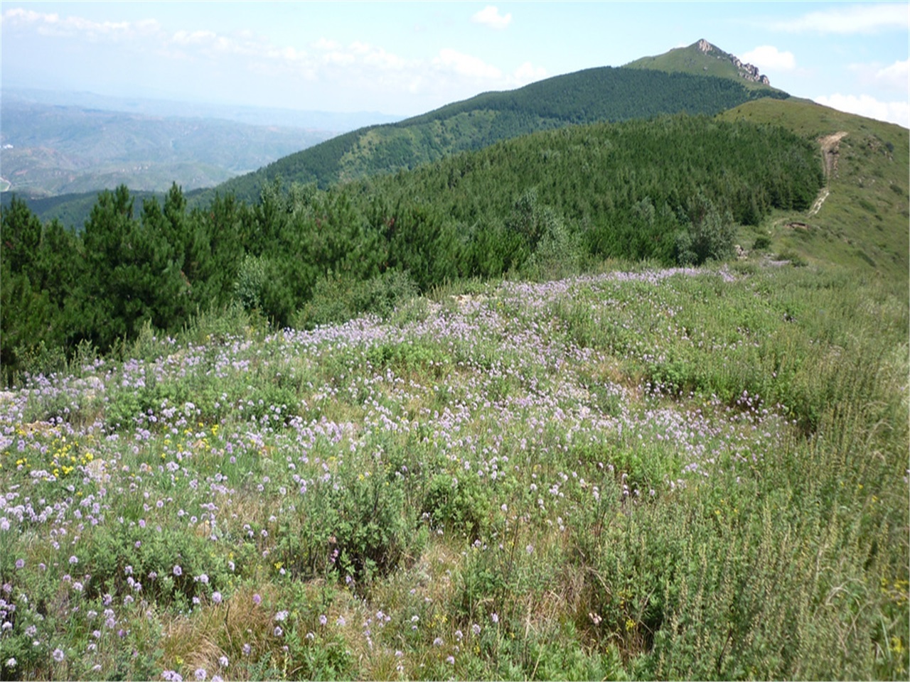 狐爷山景区