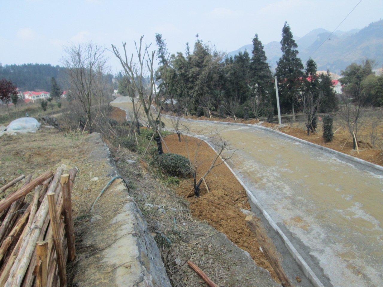 杉坪盆景大道风景区