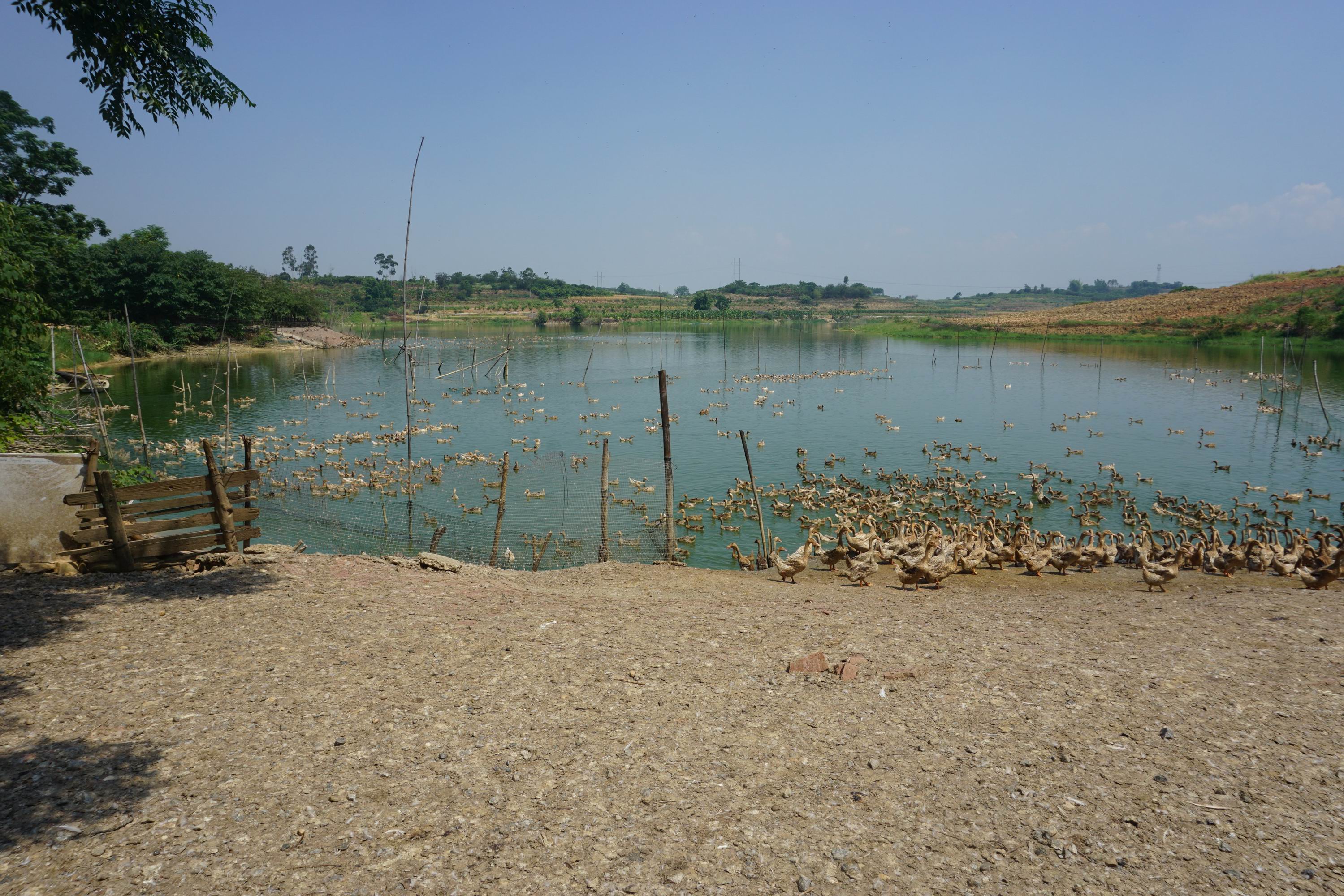 甘棠水库