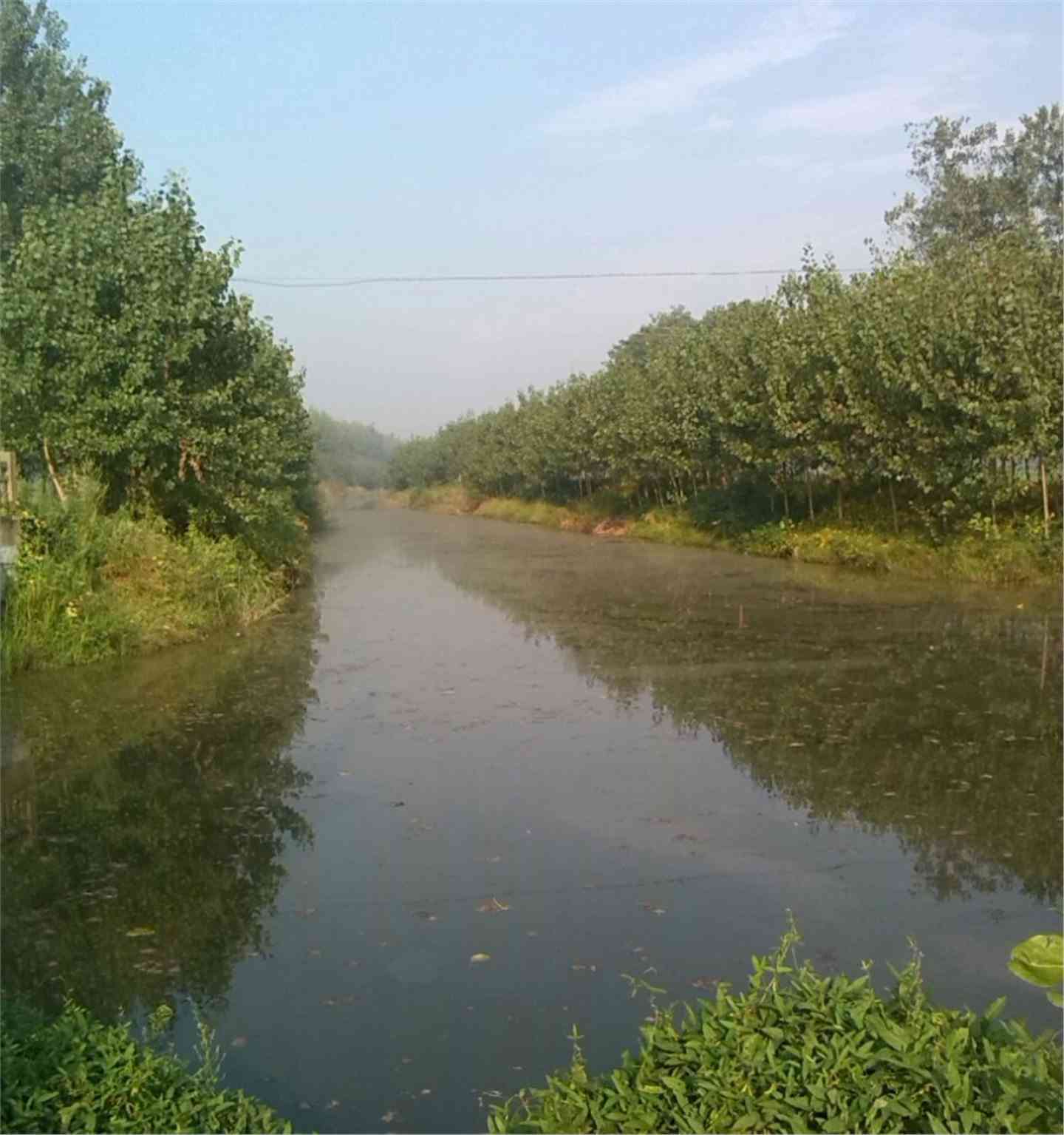 淮河入江水道