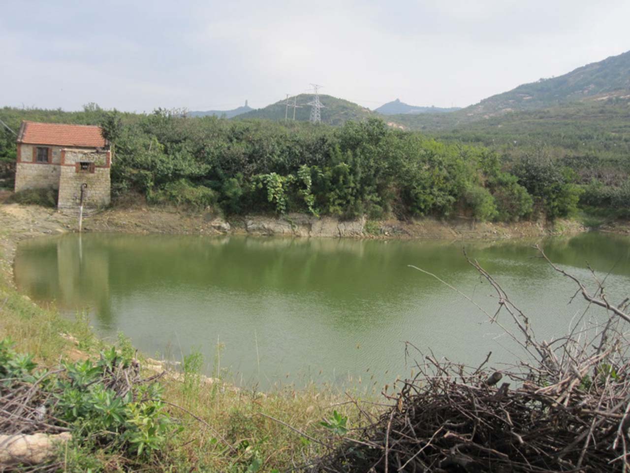 埠上东沟水库