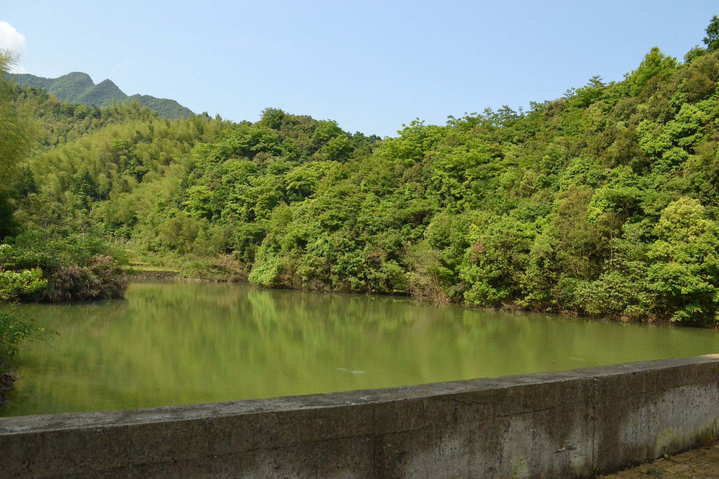 塘金坞水库