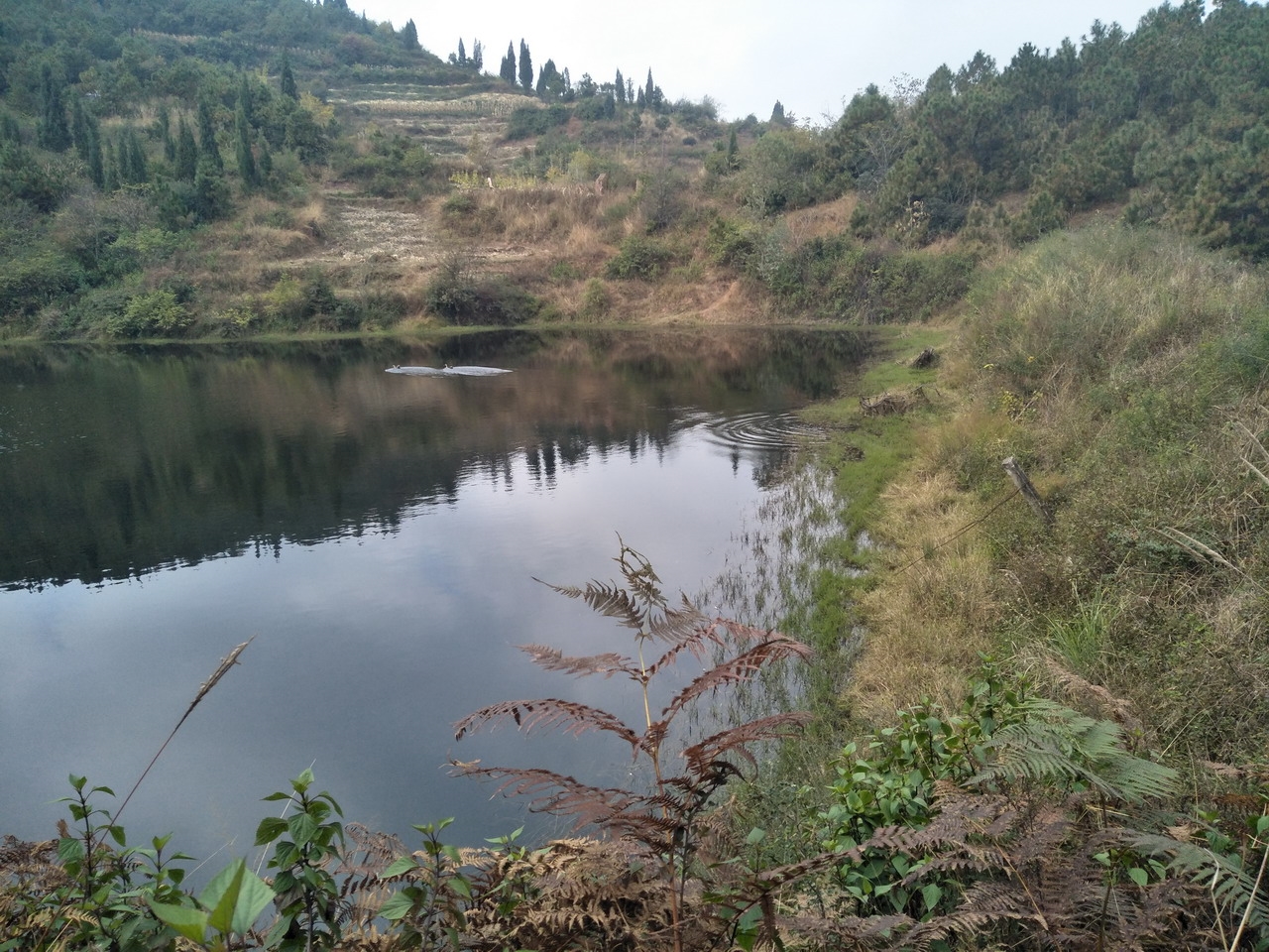 双龙潭水坝