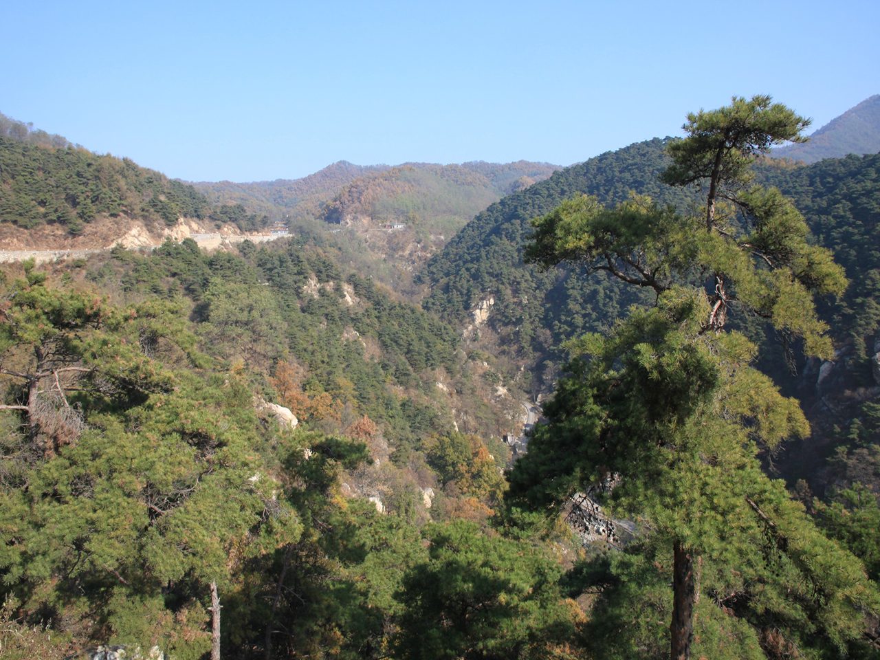 青龙山