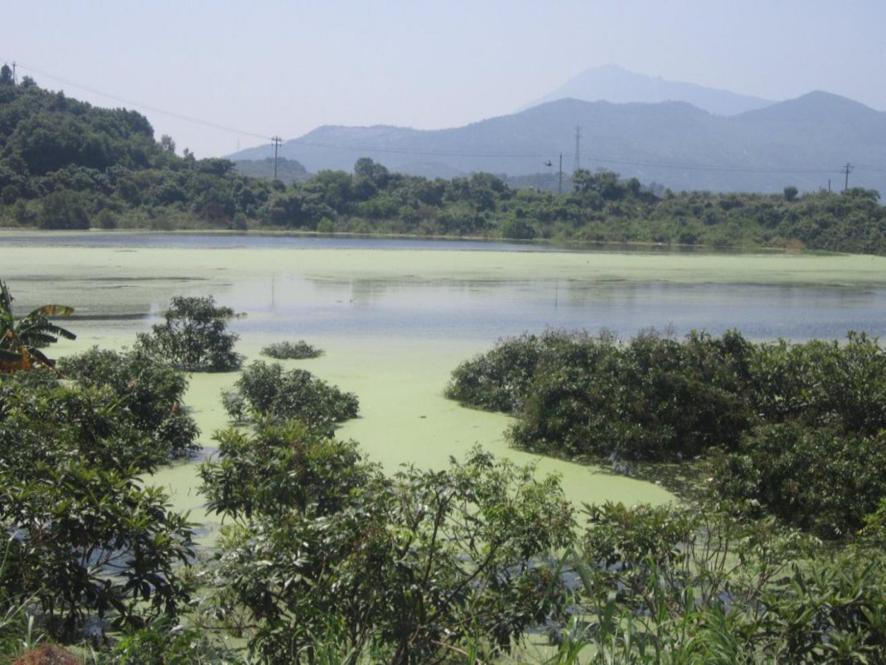 后寺水库