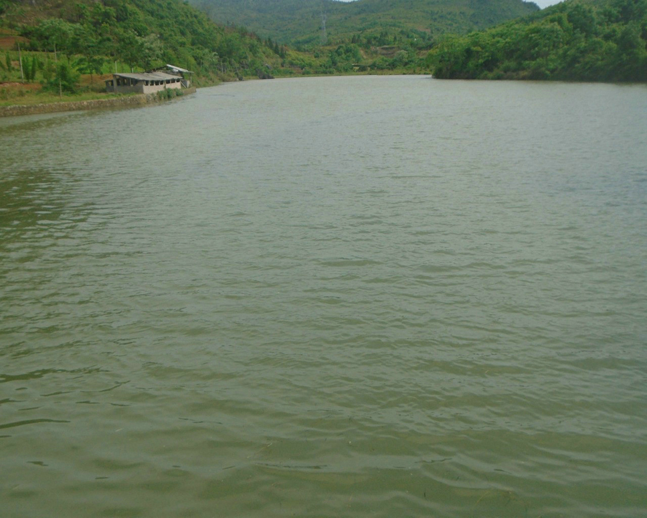 鲤鱼塘水库