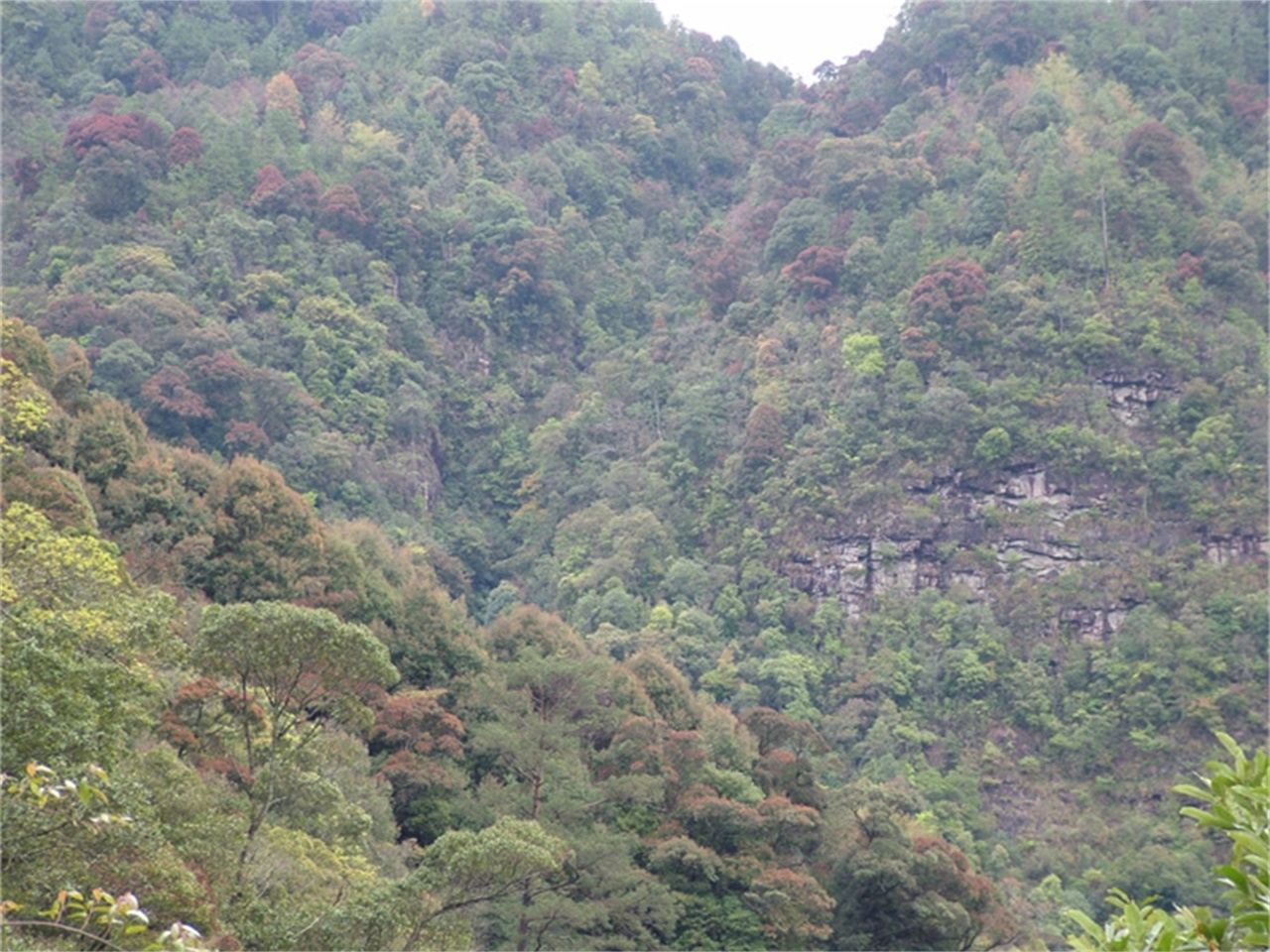 天台山国家森林公园