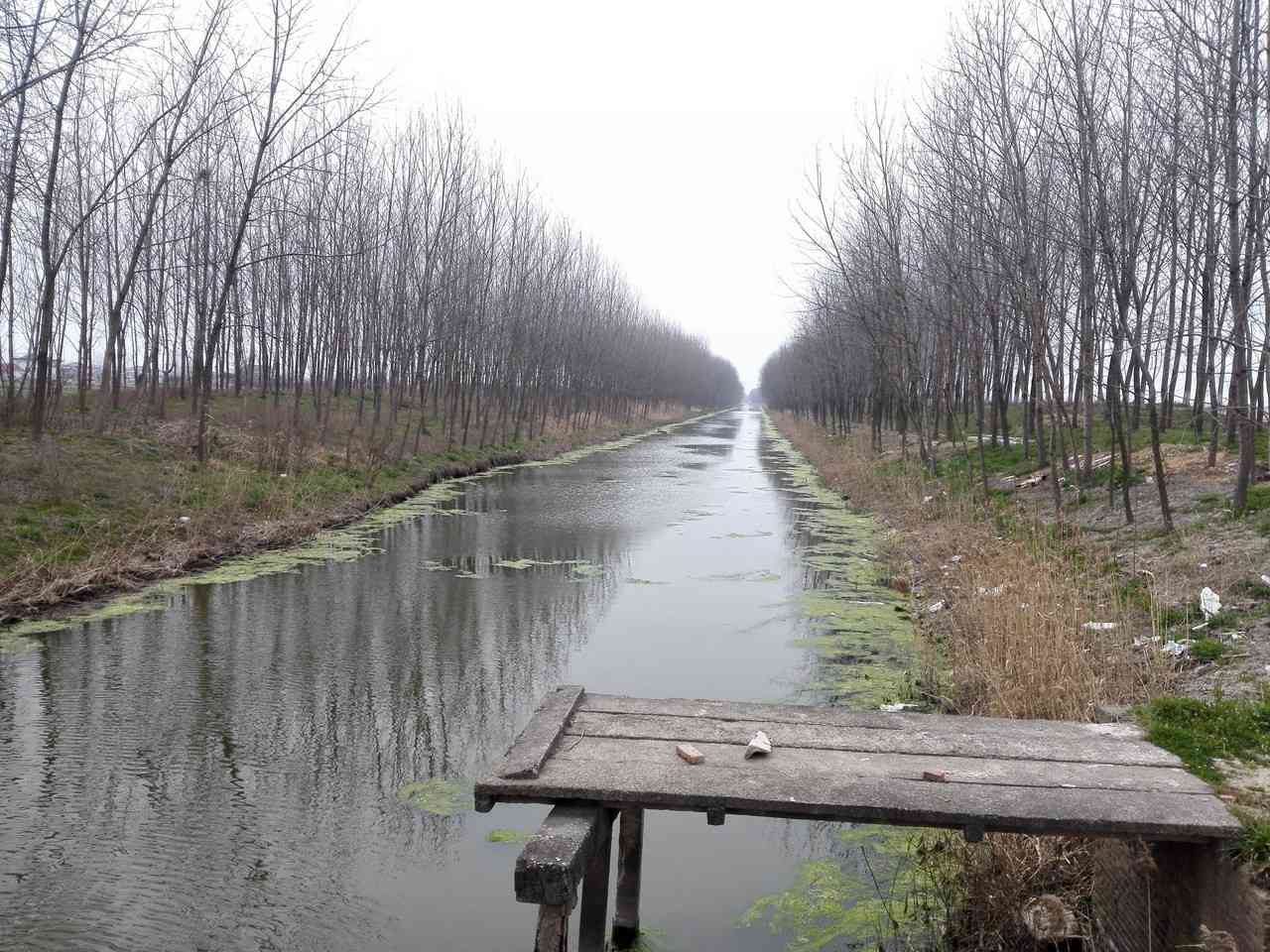 小团五总河